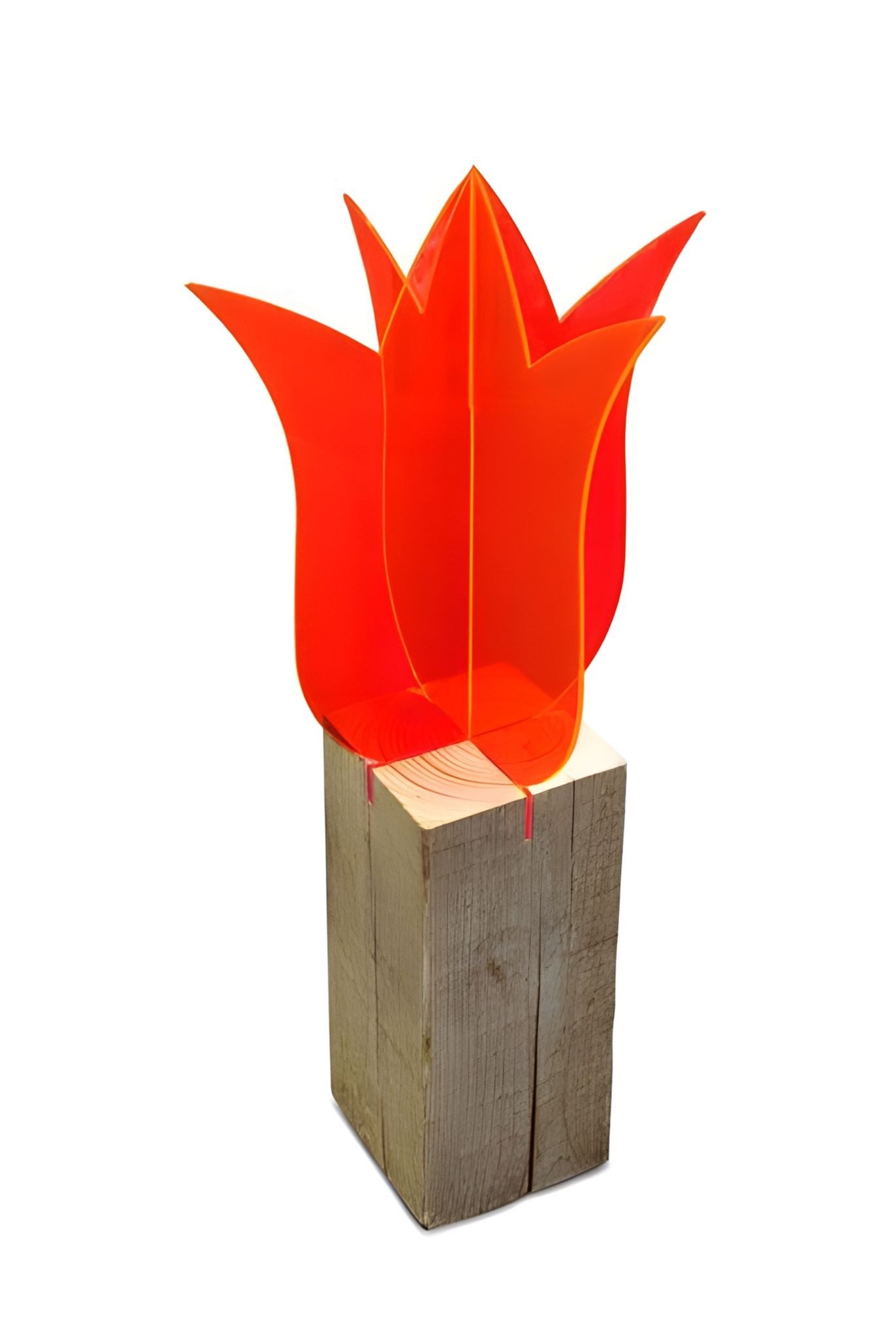 Elliot Wanddekoobjekt Elliot Lichtzauber Tulpe 3D stehend 20 cm rot