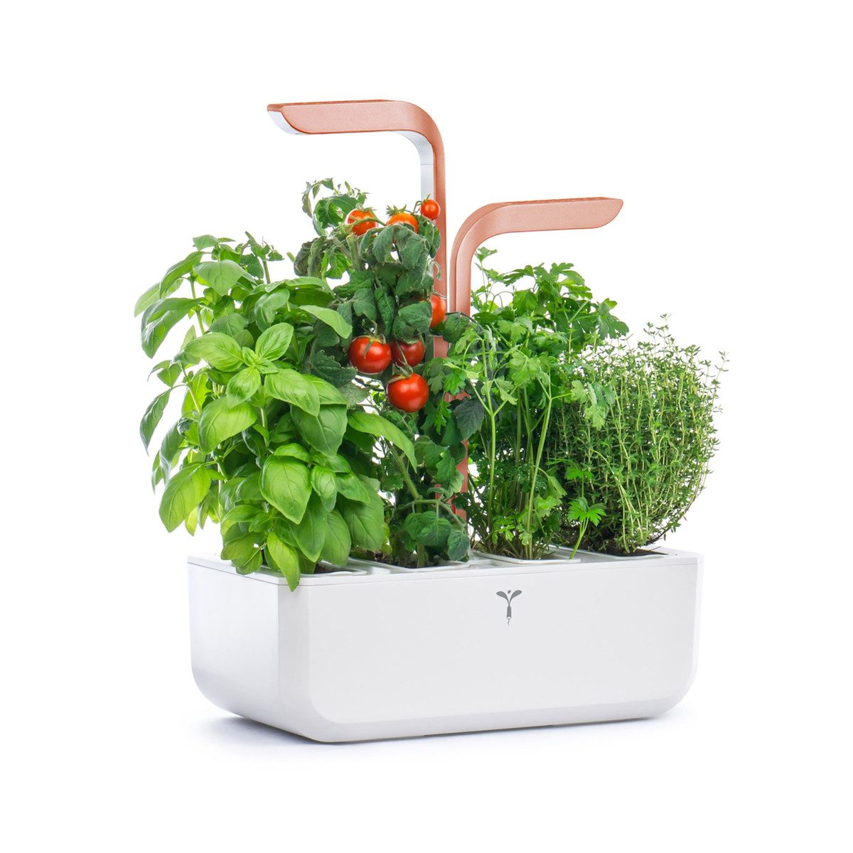 Veritable Anzuchttopf Véritable SMART (1 St)