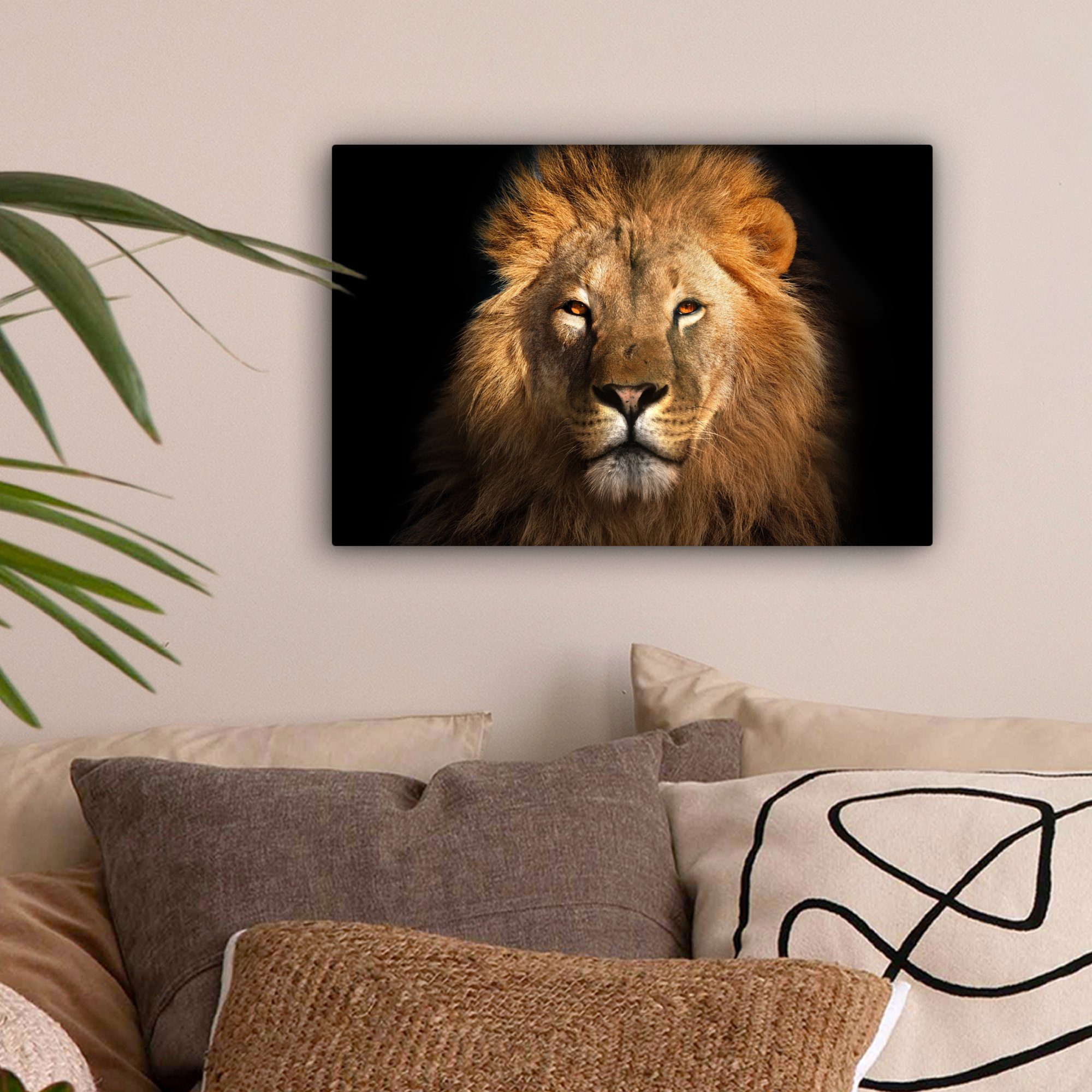 OneMillionCanvasses® Leinwandbild Löwe - Tiere - günstig online kaufen
