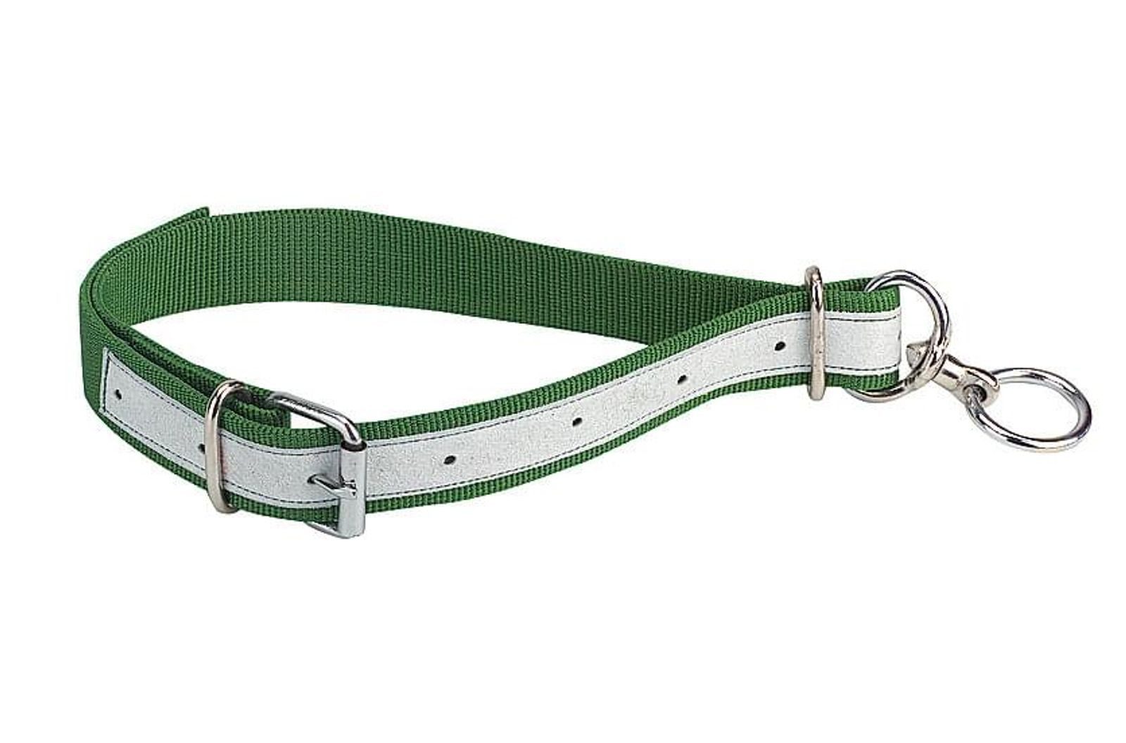 Horizont Tier-Halsband KAMER Nylon-Kälberhalsriemen lederverstärkt (80 cm) grün