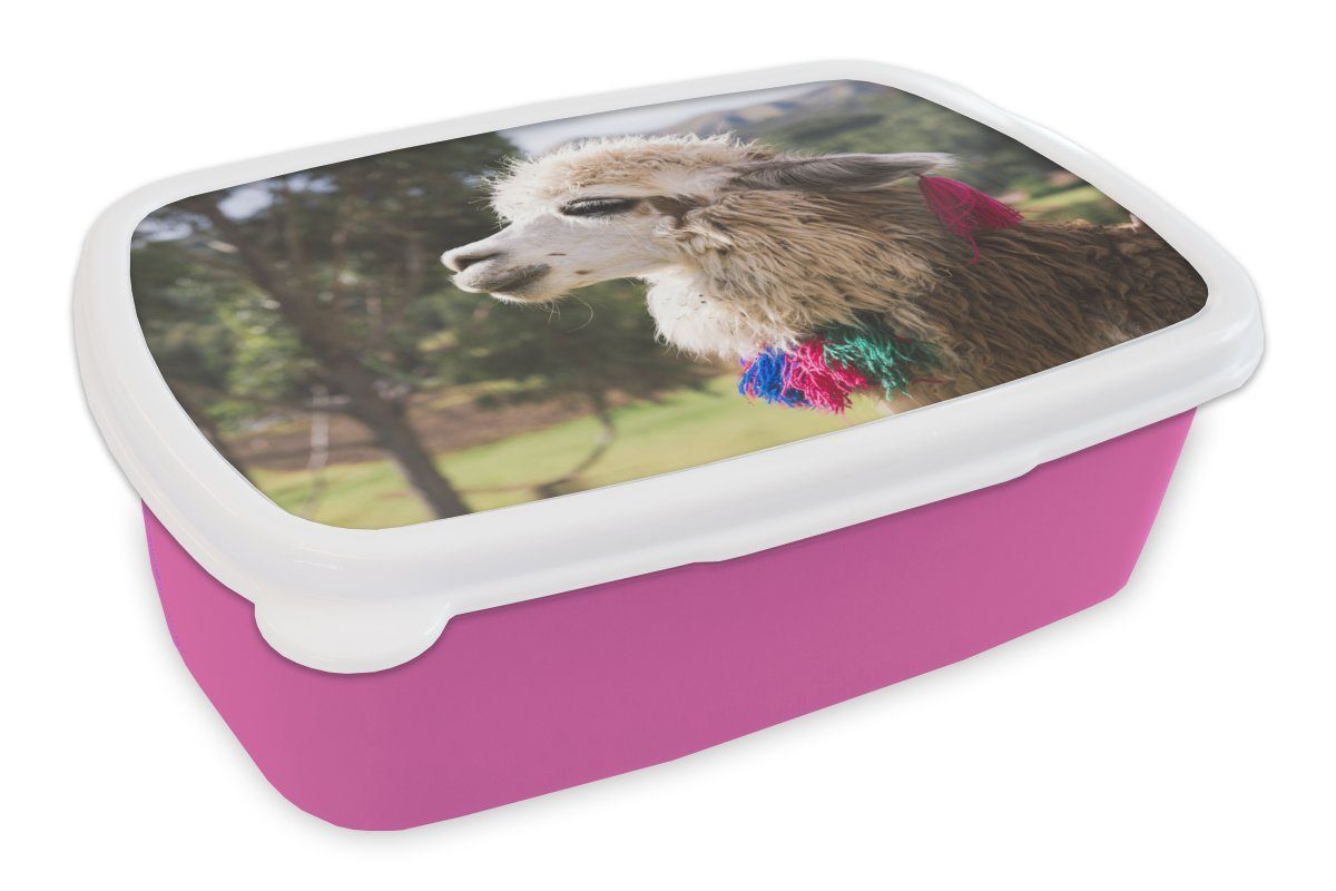 Wolle, Lunchbox - Erwachsene, Natur Alpaka Snackbox, MuchoWow (2-tlg), Kinder, - Kunststoff, Brotdose für Kunststoff Brotbox Mädchen, rosa