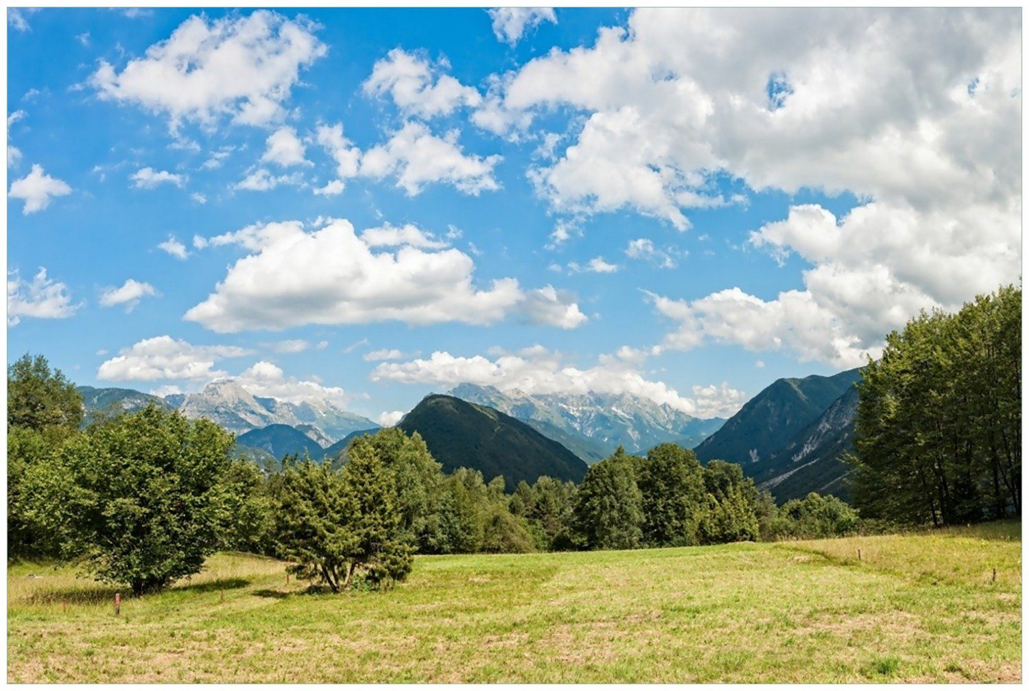 Wallario Glasbild, Bergwiese in den Alpen, in verschiedenen Ausführungen