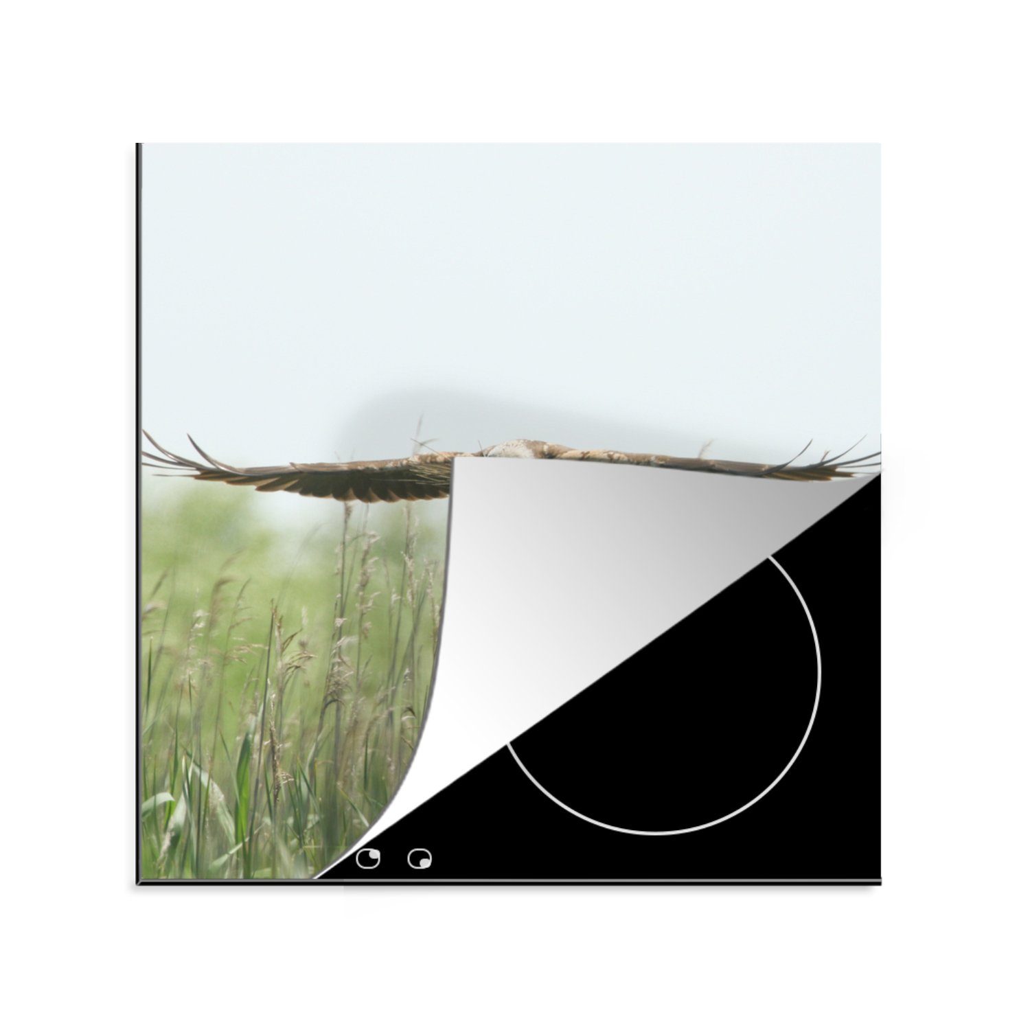 MuchoWow Herdblende-/Abdeckplatte Kornweihe - Gras - Vogel, Vinyl, (1 tlg), 78x78 cm, Ceranfeldabdeckung, Arbeitsplatte für küche