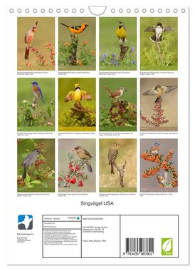 CALVENDO Wandkalender Singvögel USA (Wandkalender 2025 DIN A4 hoch), CALVENDO Monatskalender