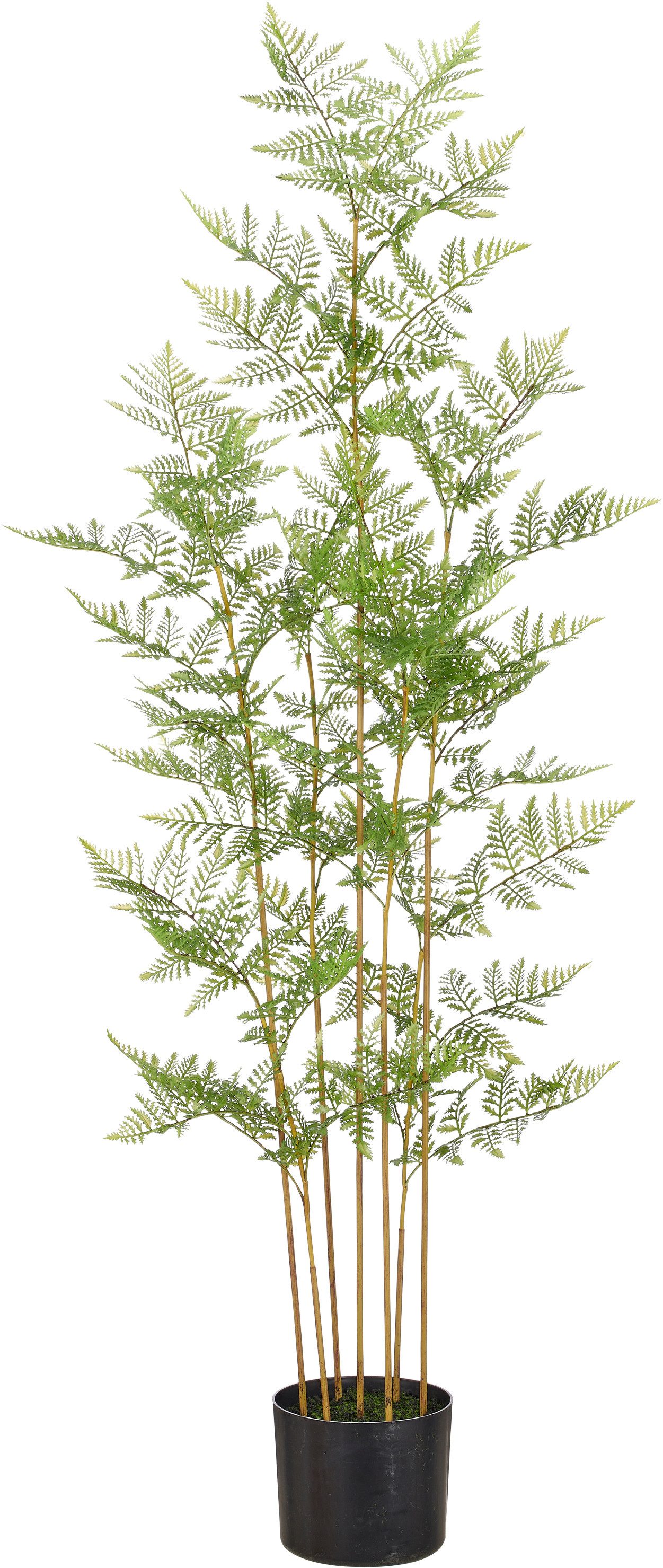 Kunstpflanze Hasenpfotenfarn, Creativ green, Höhe 120 cm, mit naturgetreuen Farnwedeln