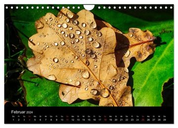 CALVENDO Wandkalender Wassertropfen (Wandkalender 2024 DIN A4 quer), CALVENDO Monatskalender