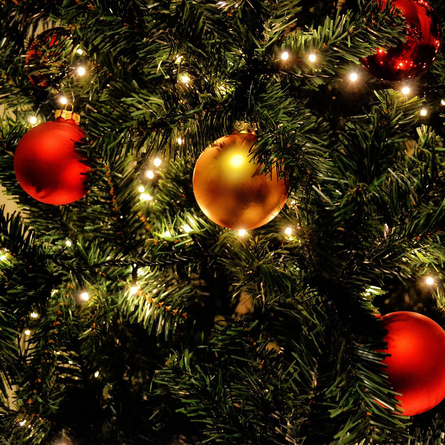 Ring LED Lichterkette, Warmweiß Weihnachts 10 Lichterketten mit Weihnachtsbaum Christbaumbeleuchtung Salcar Girlanden, und LED LED-Lichterkette 350 3m 3m