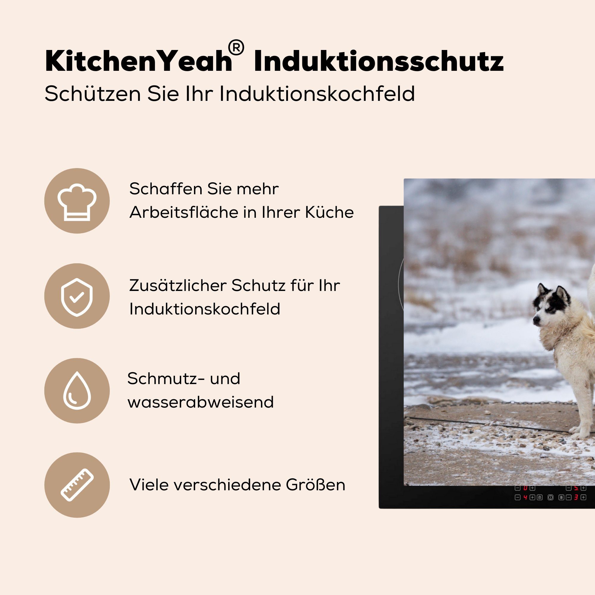 MuchoWow cm, für 81x52 - (1 Vinyl, Herdblende-/Abdeckplatte tlg), Schutz Freundschaft, Eisbär küche, Ceranfeldabdeckung die - Hund Induktionskochfeld
