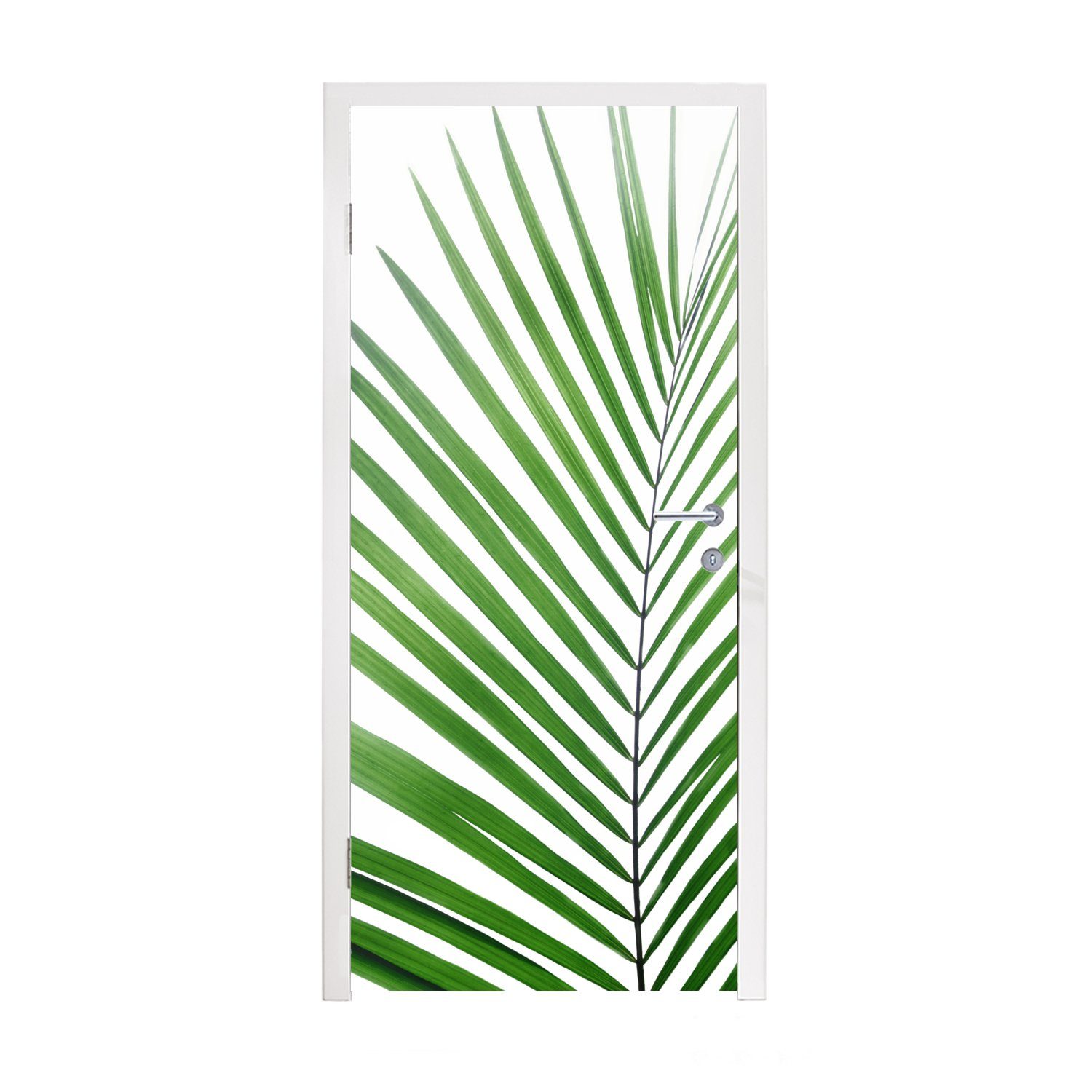 MuchoWow Türtapete Pflanze - Grün - Natur - Weiß, Matt, bedruckt, (1 St), Fototapete für Tür, Türaufkleber, 75x205 cm