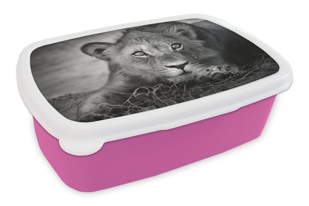 (2-tlg), für - Weiß, Löwe Lunchbox Natur Snackbox, - Kunststoff Mädchen, - Erwachsene, MuchoWow Schwarz - Brotbox Kinder, Kunststoff, rosa Wildtiere Brotdose