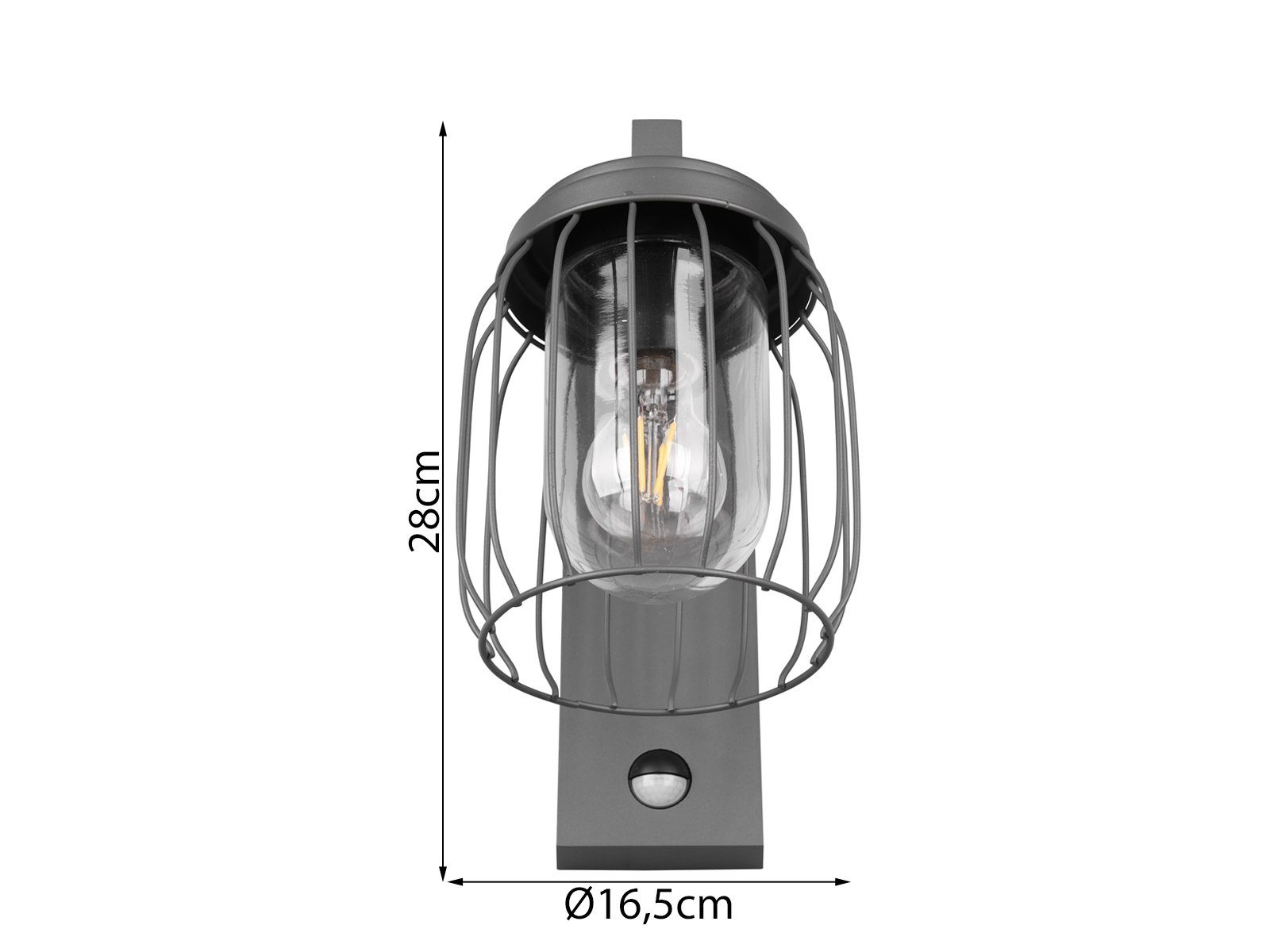 TRIO Leuchten LED Außen-Wandleuchte, Bewegungsmelder, LED wechselbar, warmweiß, Wand-Laterne mit Bewegungsmelder 28cm, Anthrazit, Hauswand & Carport