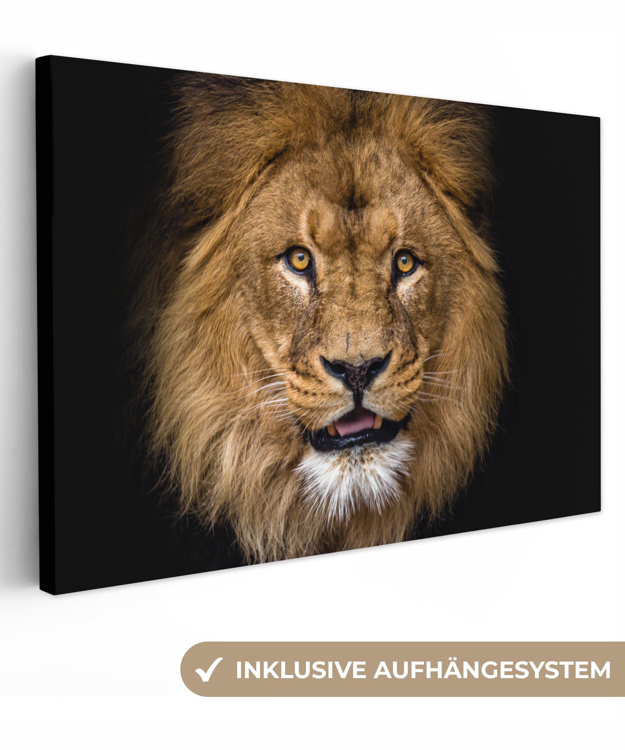 OneMillionCanvasses® Leinwandbild Löwe - Porträt - Schwarz - Tiere, (1 St), Wandbild Leinwandbilder, Aufhängefertig, Wanddeko, 30x20 cm bunt