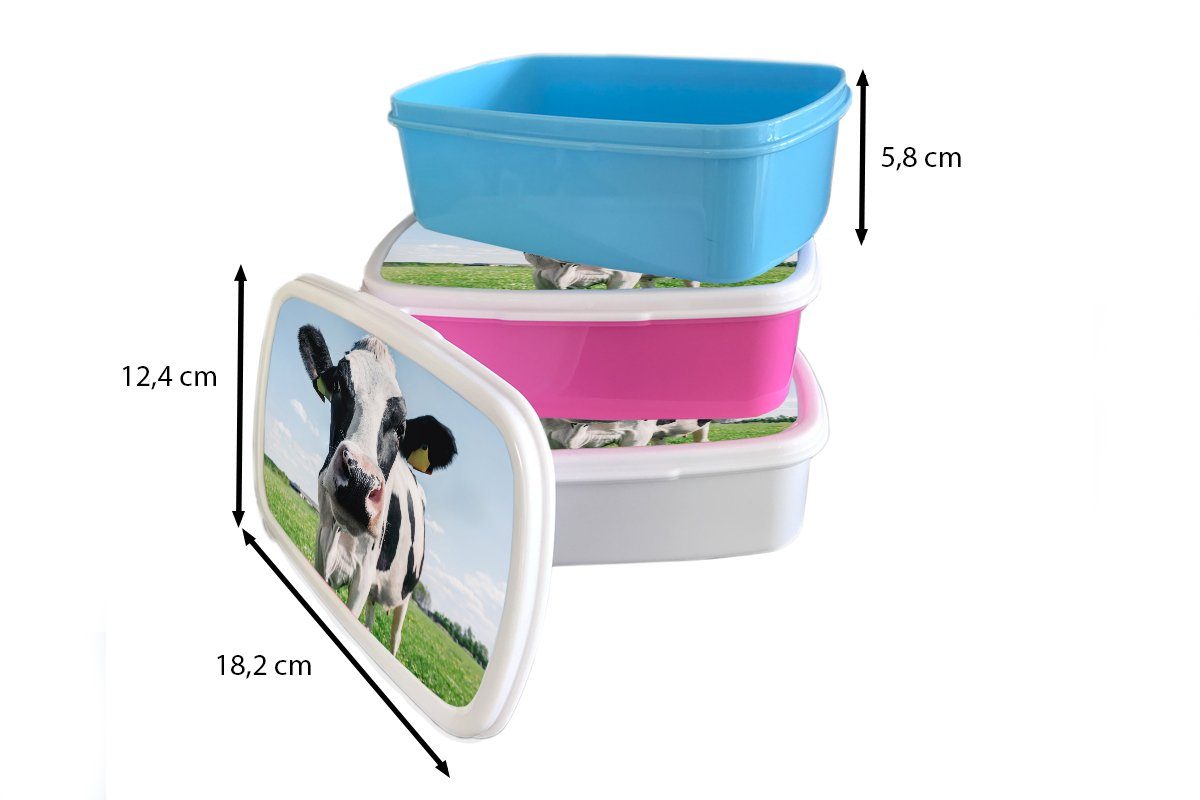 Gras, Natur Brotdose, und MuchoWow Kunststoff, weiß Wiese (2-tlg), Mädchen Jungs - Kuh und - Lunchbox für Brotbox Erwachsene, Tiere - für Kinder -