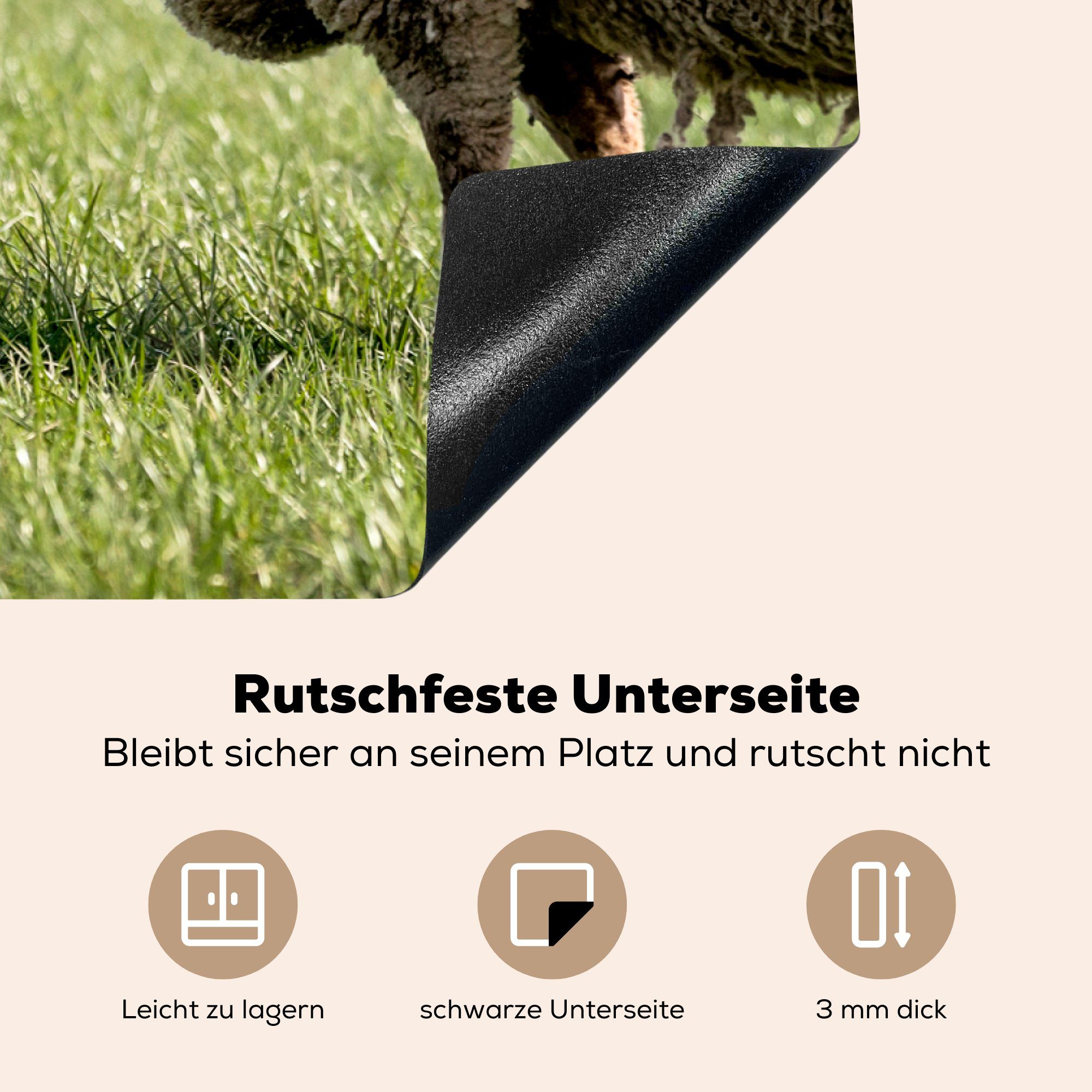 MuchoWow Herdblende-/Abdeckplatte 81x52 Vinyl, Gras, Schutz - tlg), für Sonne cm, - (1 die Induktionskochfeld Ceranfeldabdeckung küche, Schafe