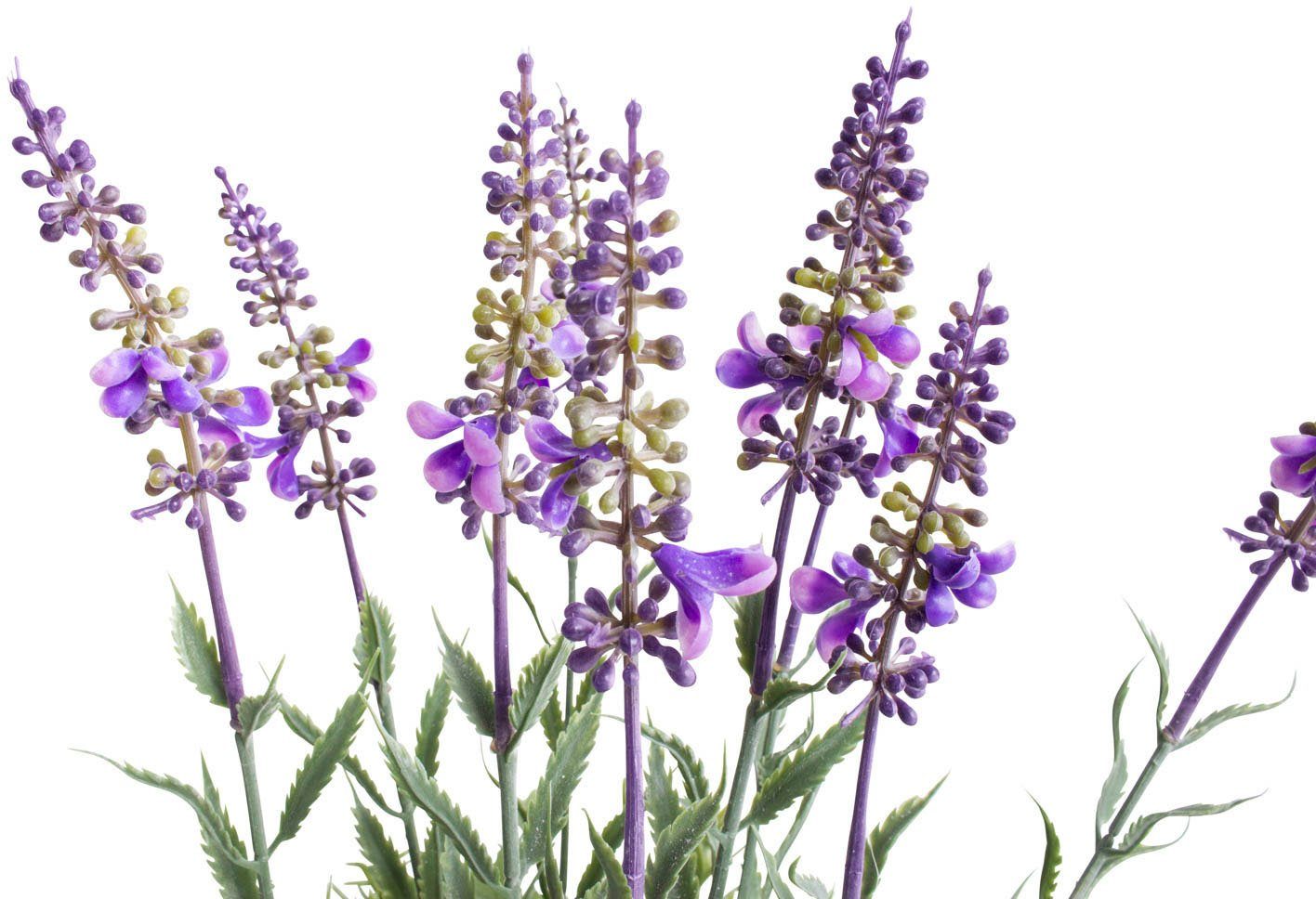 Künstliche Zimmerpflanze Lavendel - Kräutertopf, Botanic-Haus, Höhe 37 cm