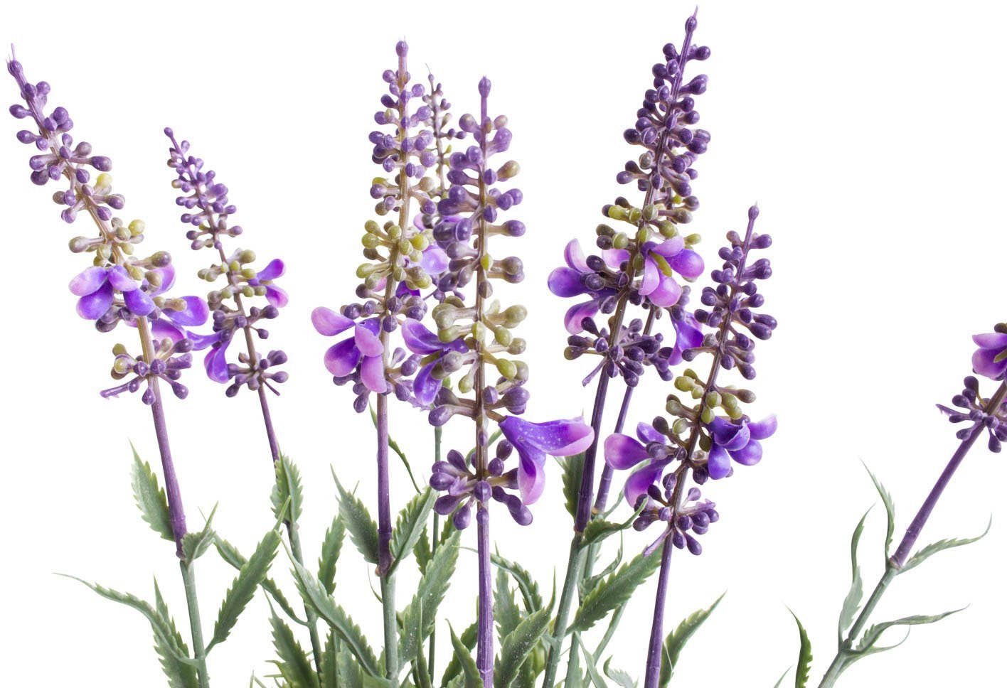 Künstliche Zimmerpflanze Lavendel - Kräutertopf, 37 Botanic-Haus, Höhe cm