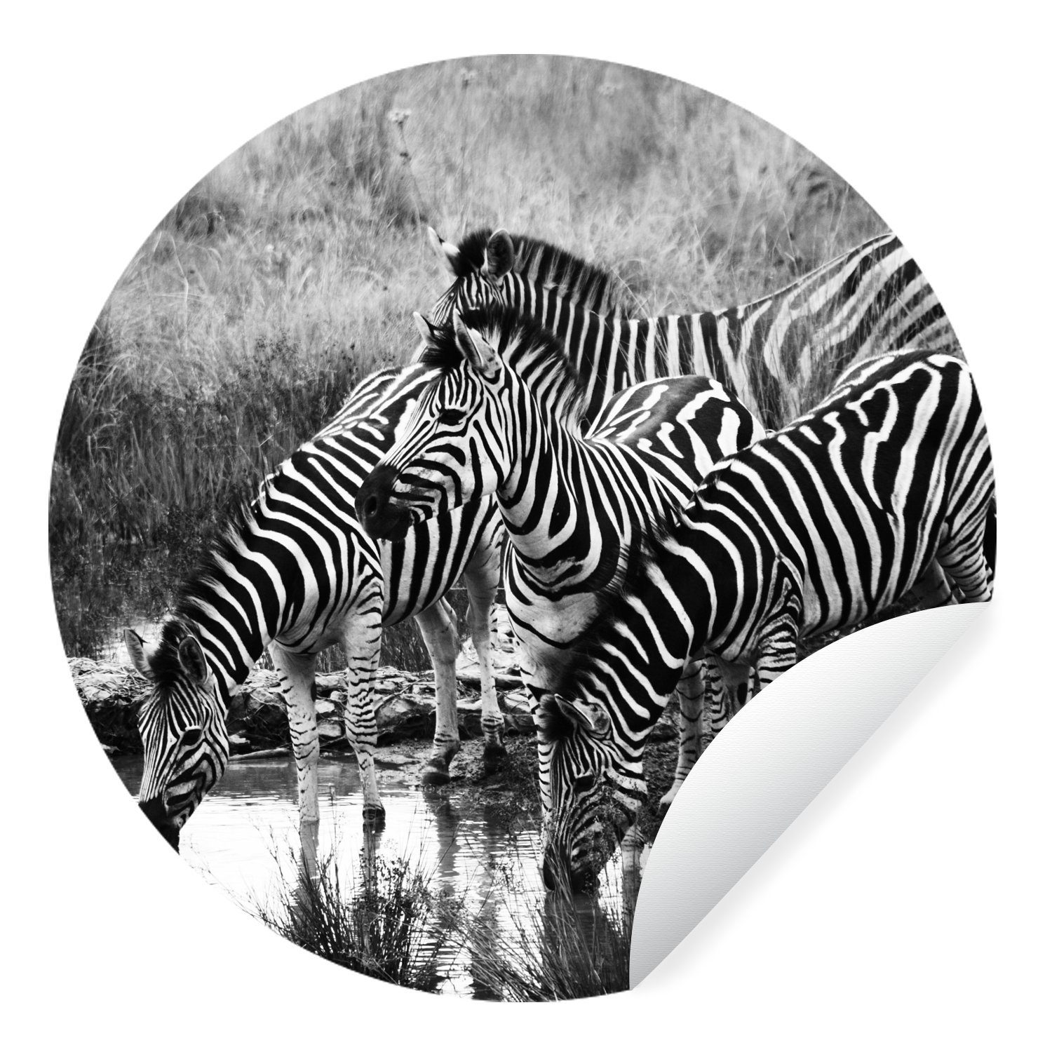 MuchoWow Wandsticker Trinkende Zebras (1 St), Tapetenkreis für Kinderzimmer, Tapetenaufkleber, Rund, Wohnzimmer