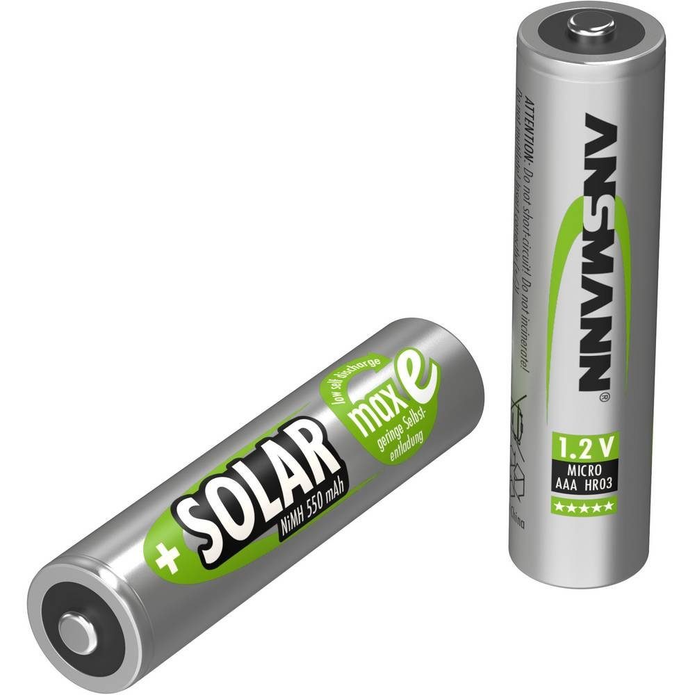 Solarakku Micro maxE 2er Akku