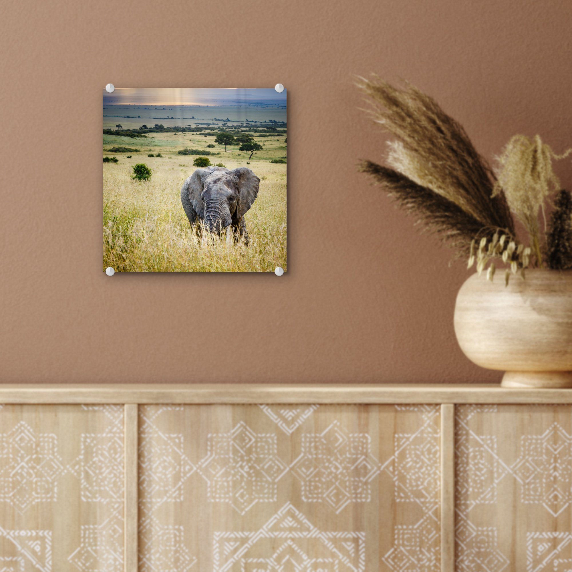 MuchoWow Acrylglasbild Elefant Tiere Wanddekoration Sonne auf auf Wandbild (1 - - Natur, St), Landschaft Bilder - - Glas Glas - Foto - - Glasbilder