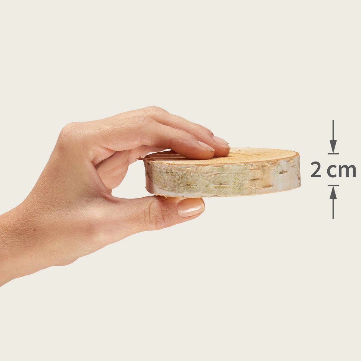 matches21 HOME & HOBBY Bastelnaturmaterial Baumscheiben 10 Stk. Dekoholz Holzscheiben Holzplatten 10 - 12 cm, (10-tlg), nachhaltige EU Birkenscheiben für Basteln Dekorieren Tischdeko