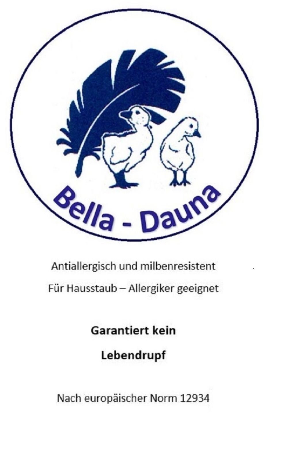 Betten Hofmann Federkopfkissen Betten Hofmann Bayern Kissen 45x45 cm Federkissen mit 30% Daunen 300 g, Füllung: 70% Federn, 30% Daunen, Bezug: 100% Baumwolle, Seitenschläfer, Rückenschläfer, weich und unterstützend, made in Germany, besonders regional