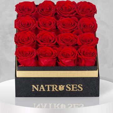 Kunstblume NATROSES Konservierte Rosen echte Rosen, 3 Jahre haltbarkeit Rose, JUNG, Valentinstag Geschenk Frau, Valentintstagsgeschenk Frauen Blumen Rose