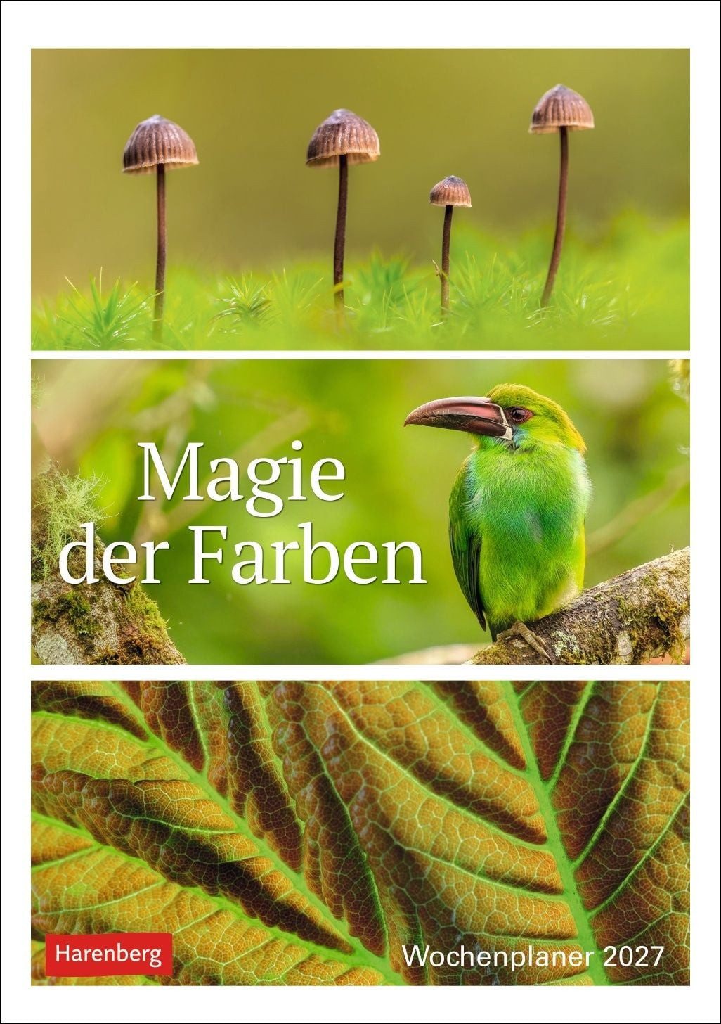 Wandkalender Magie der Farben Wochenplaner 2027