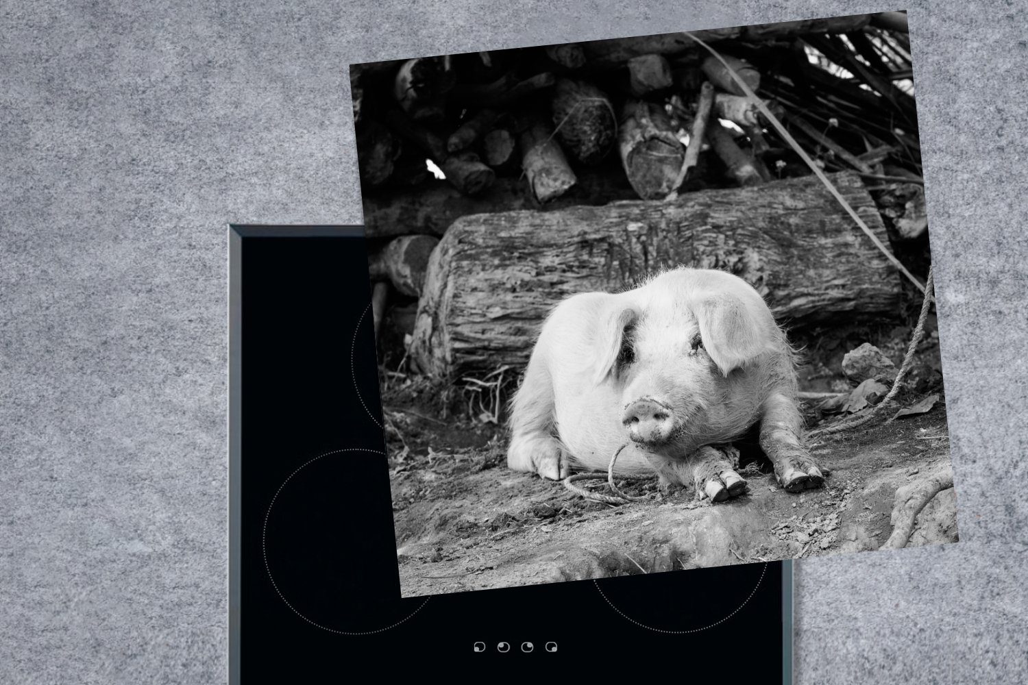 MuchoWow Herdblende-/Abdeckplatte schwarz weiß, Ceranfeldabdeckung, - und cm, Arbeitsplatte (1 für 78x78 tlg), Lügenschwein küche Vinyl