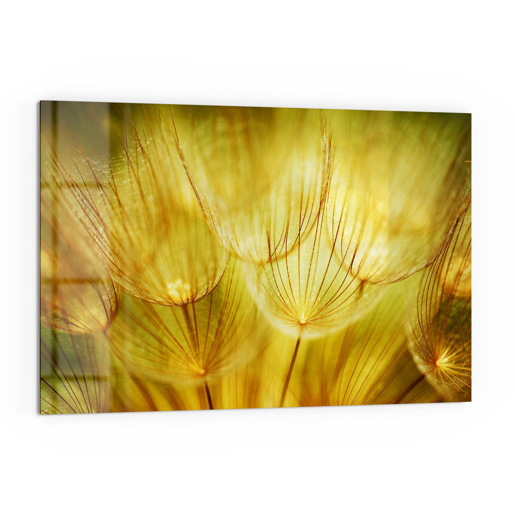 DEQORI Küchenrückwand 'Goldener Hauch', Glas Spritzschutz Badrückwand Herdblende