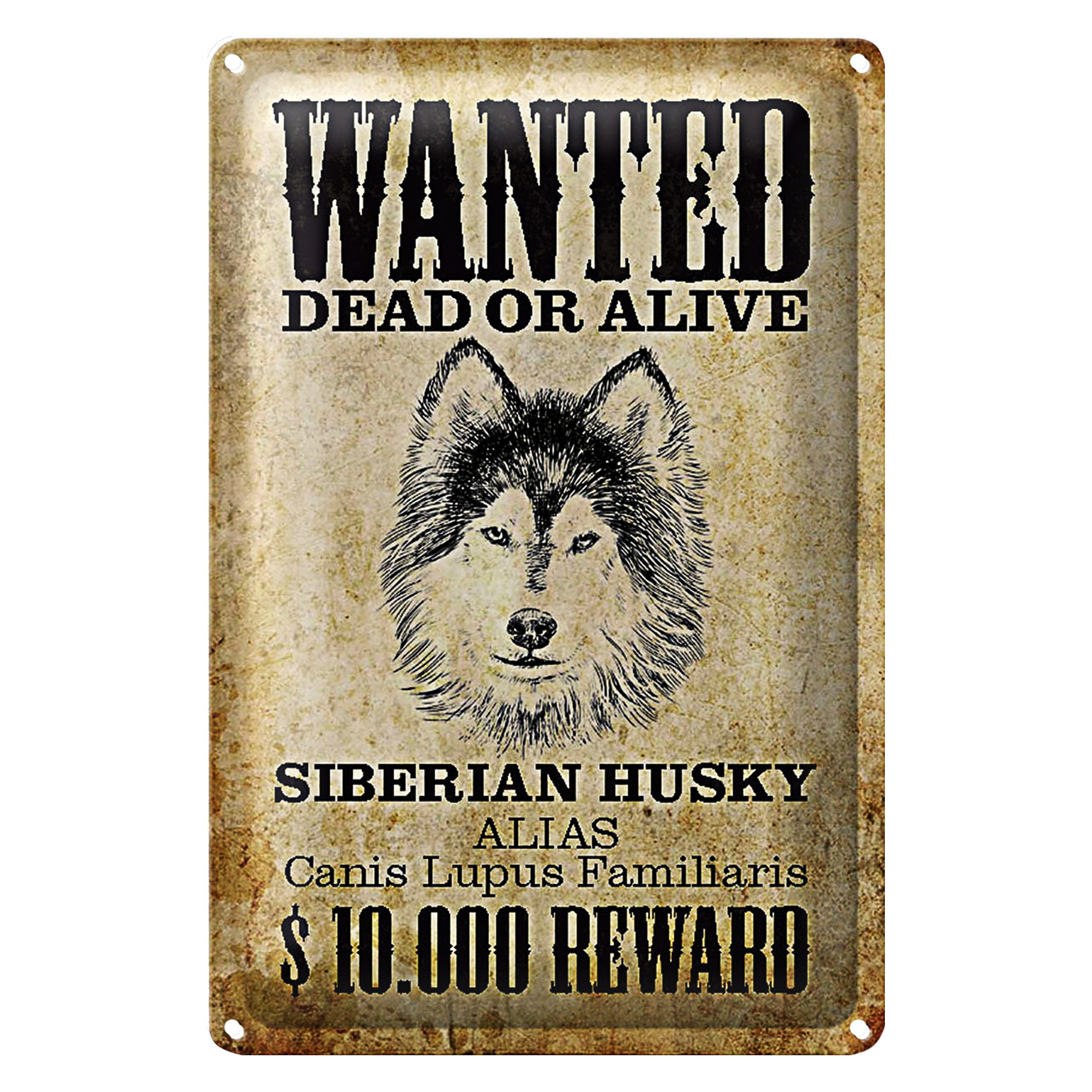 Roomando Metallschild Blechschild Hund 20x30cm wanted Siberian Husky