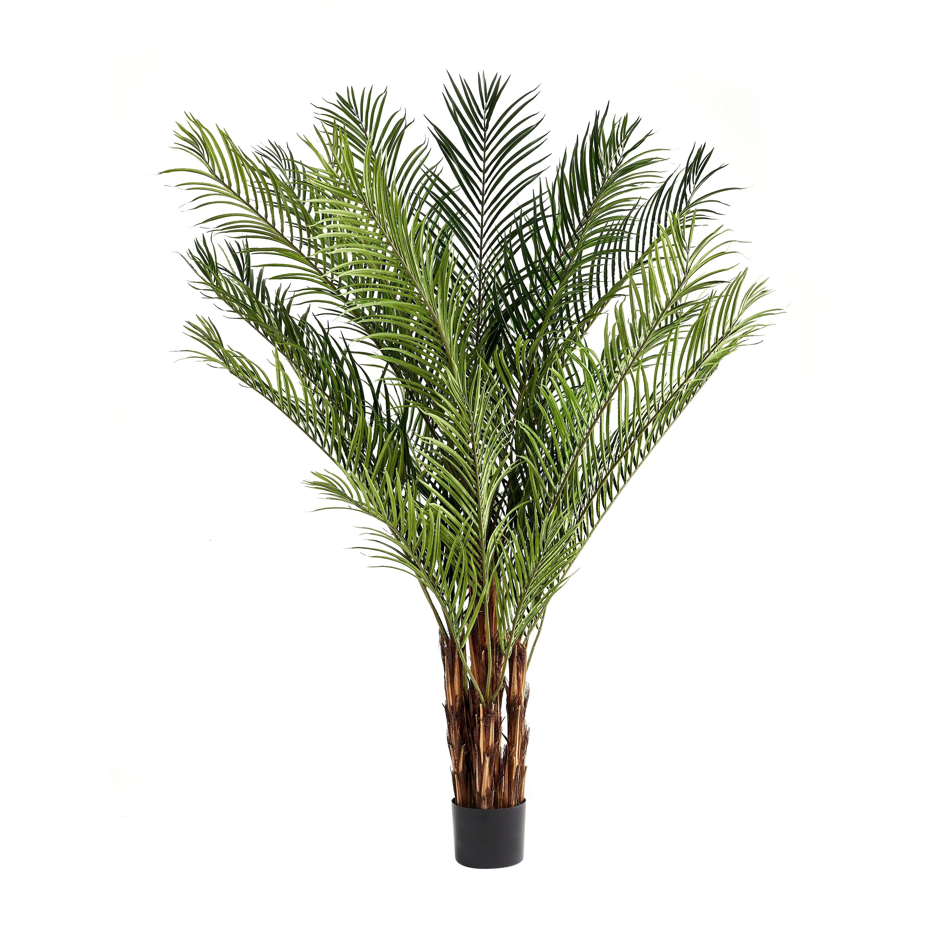 Kunstbaum Künstliche Palme – Caliora, 240 cm, aplanta