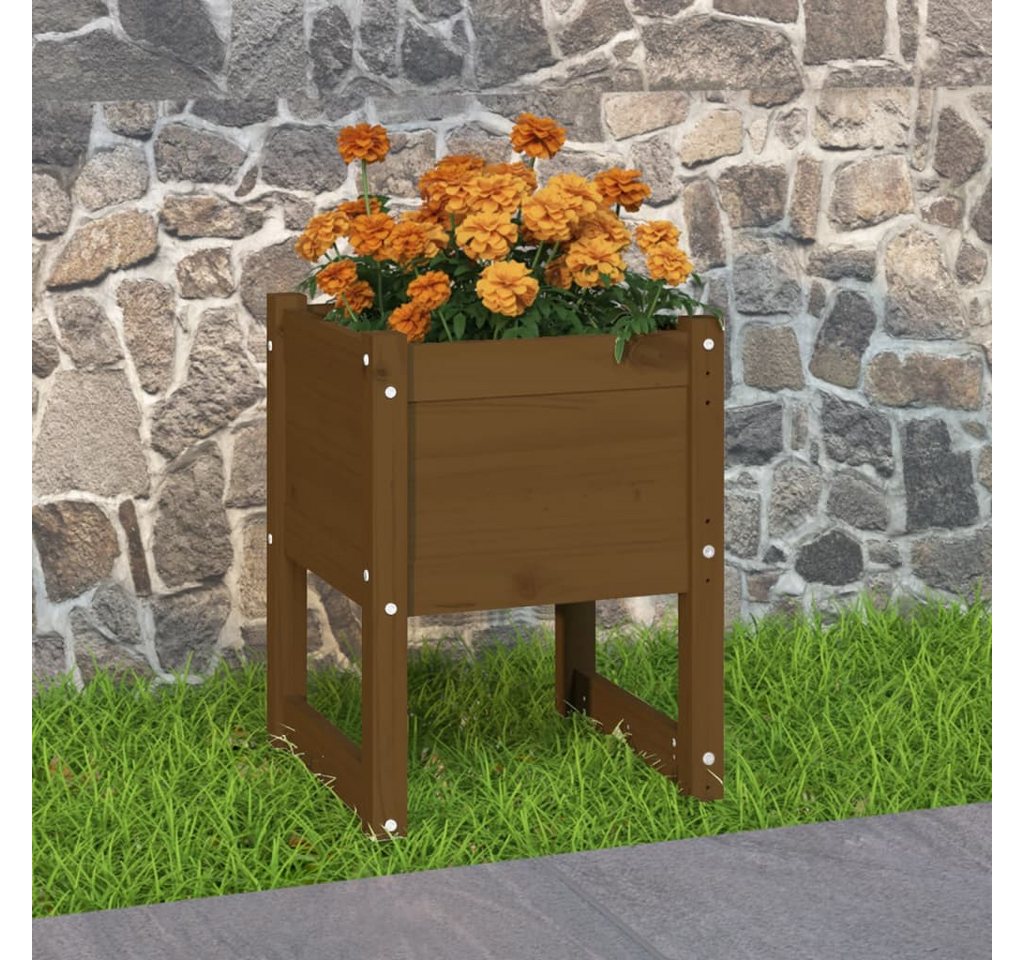 Thumbnail - vidaXL Blumenkasten Pflanzkübel Honigbraun 40x40x52,5 cm Massivholz Kiefer