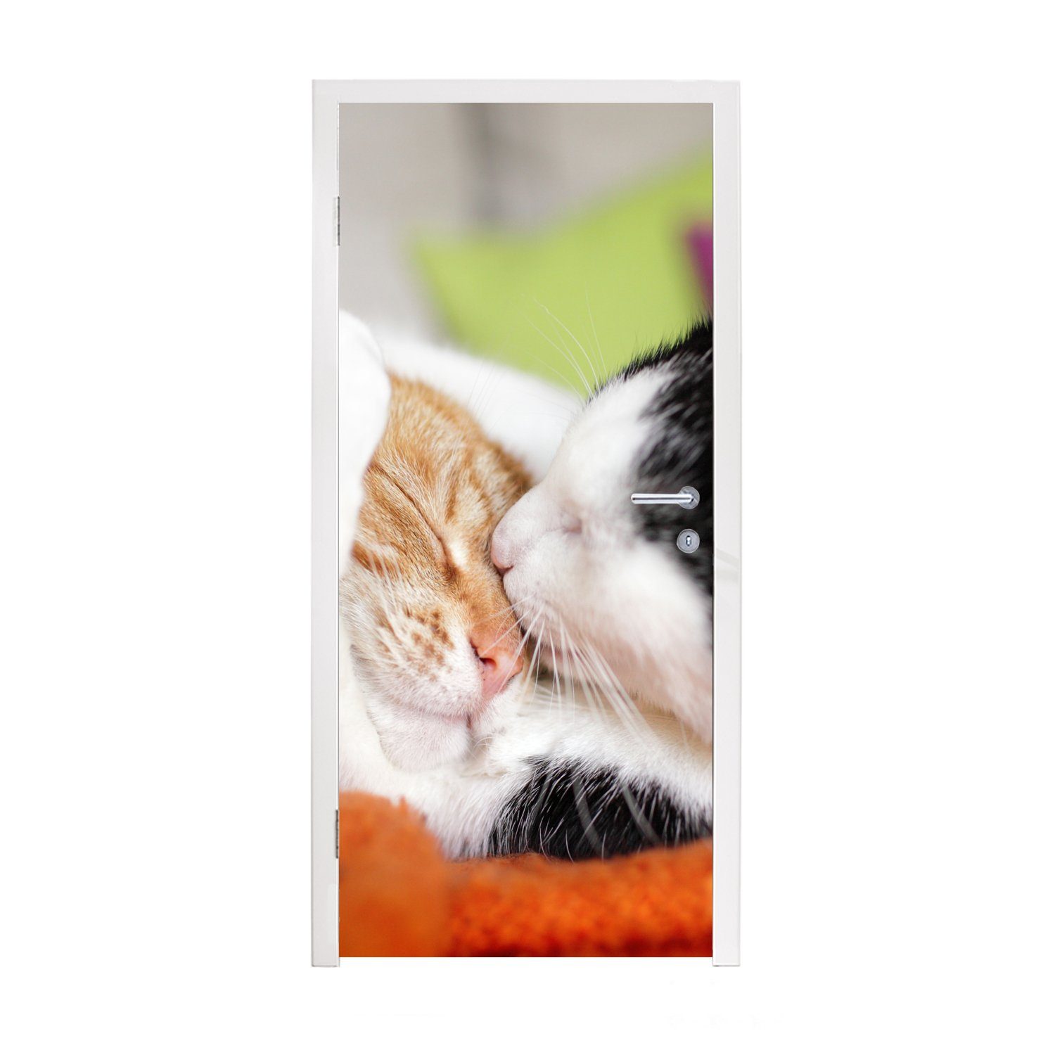 Day, (1 Türaufkleber, cm St), Kuscheltier 75x205 Animal - - Fototapete Matt, bedruckt, für MuchoWow Türtapete Katzen Tür,