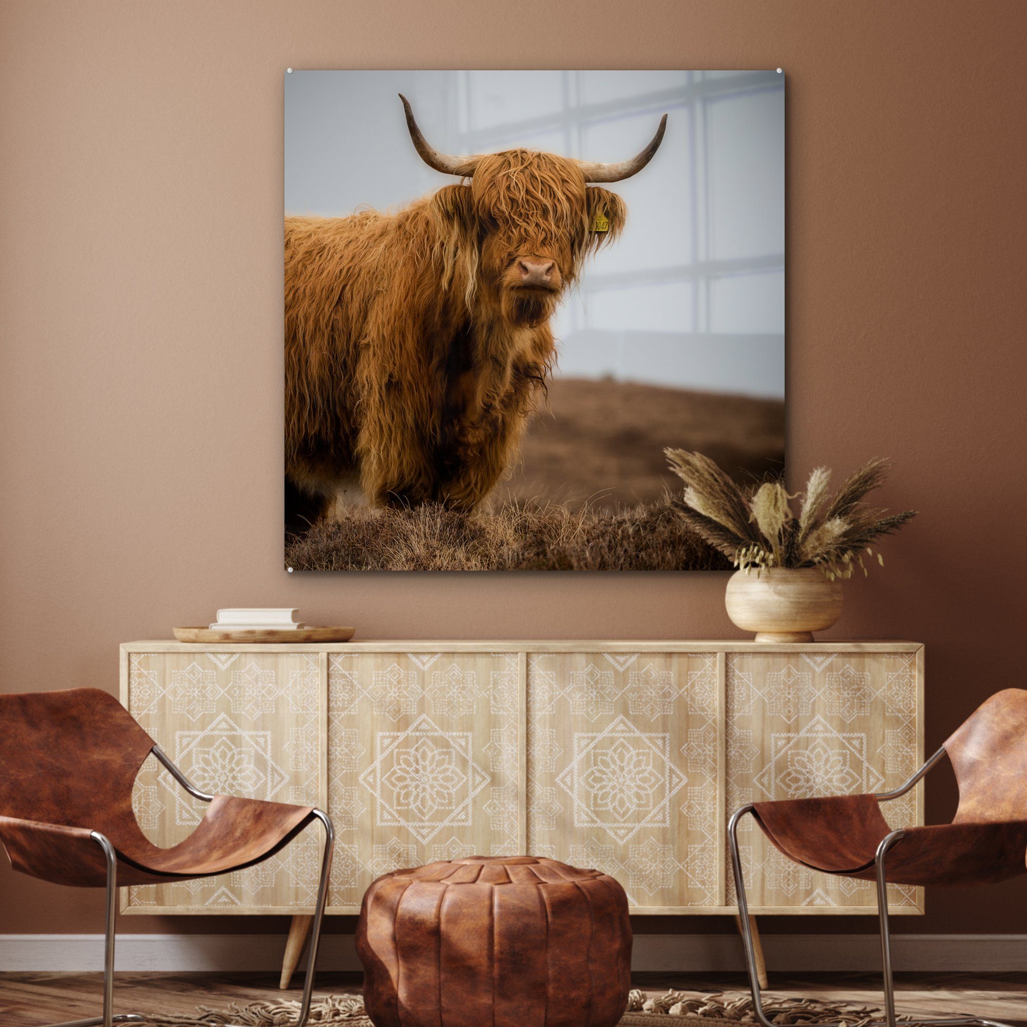 Düne St), Schottischer Glas Küche - & Acrylglasbild MuchoWow auf Highlander - (1 Wohnzimmer Gras, Dekorative für Bild