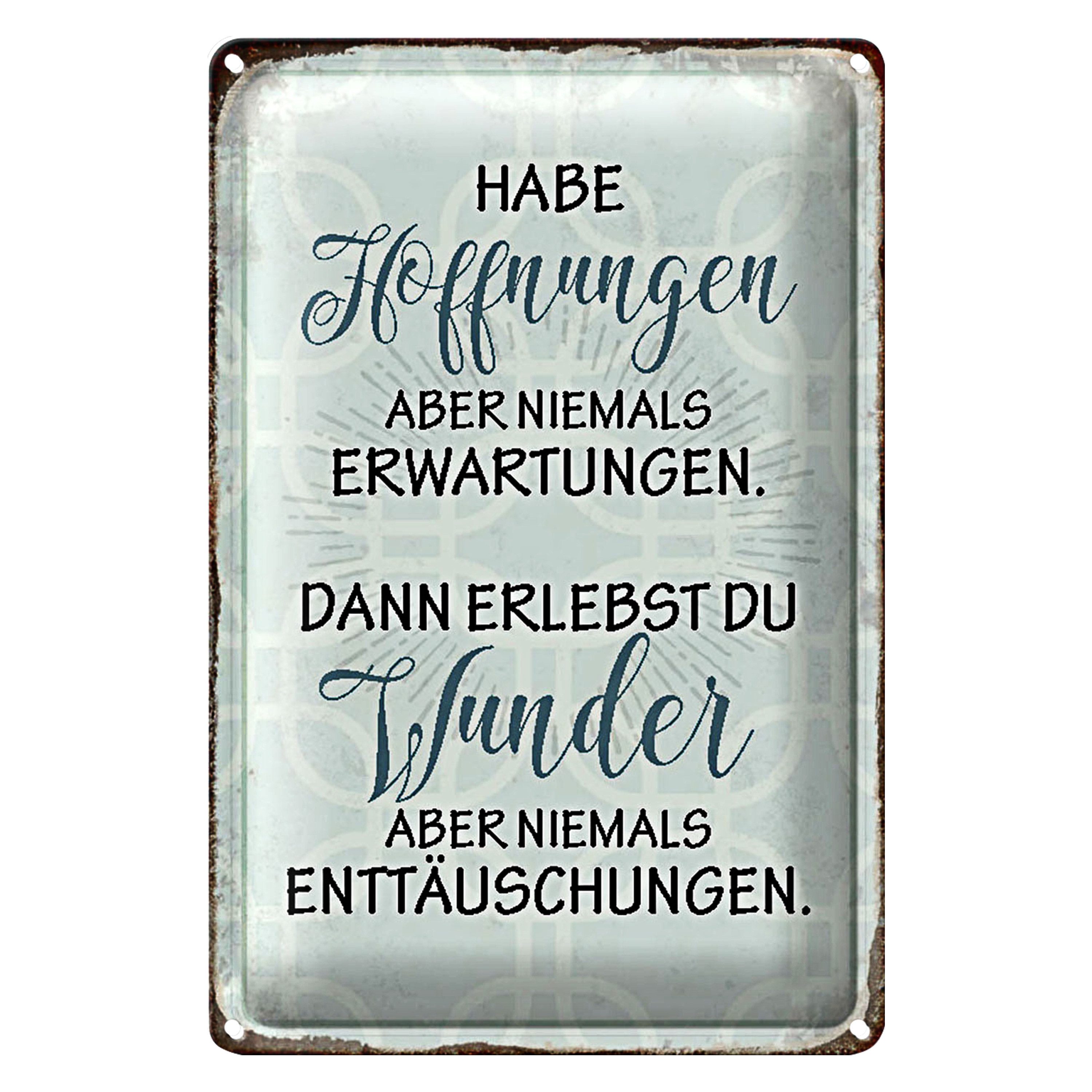 Metallschild Spruch 12x18cm habe Hoffnungen nie Erwartungen