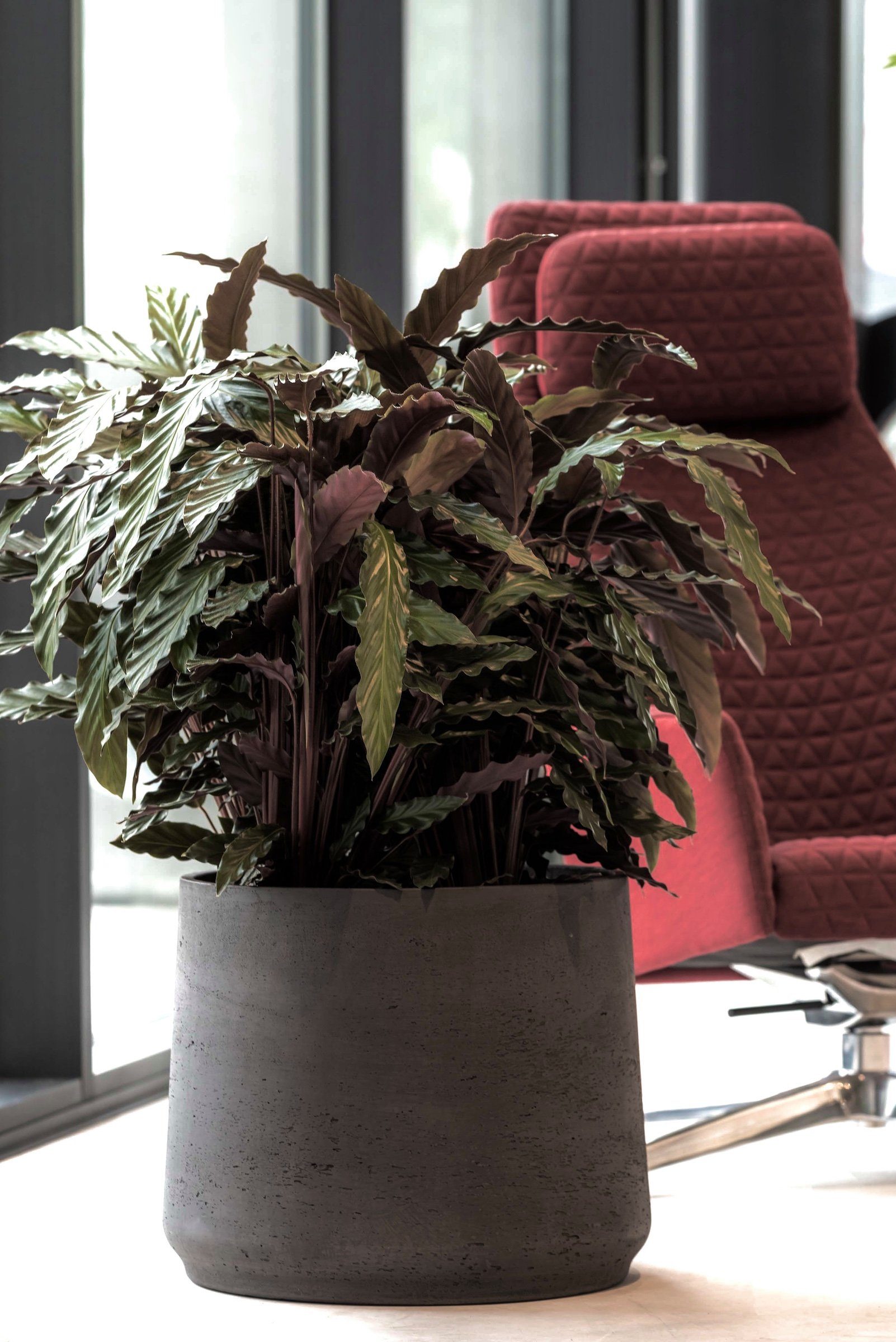 finestgreen Pflanzkübel Handgefertigtes Pflanzgefäß Patt günstig online kaufen