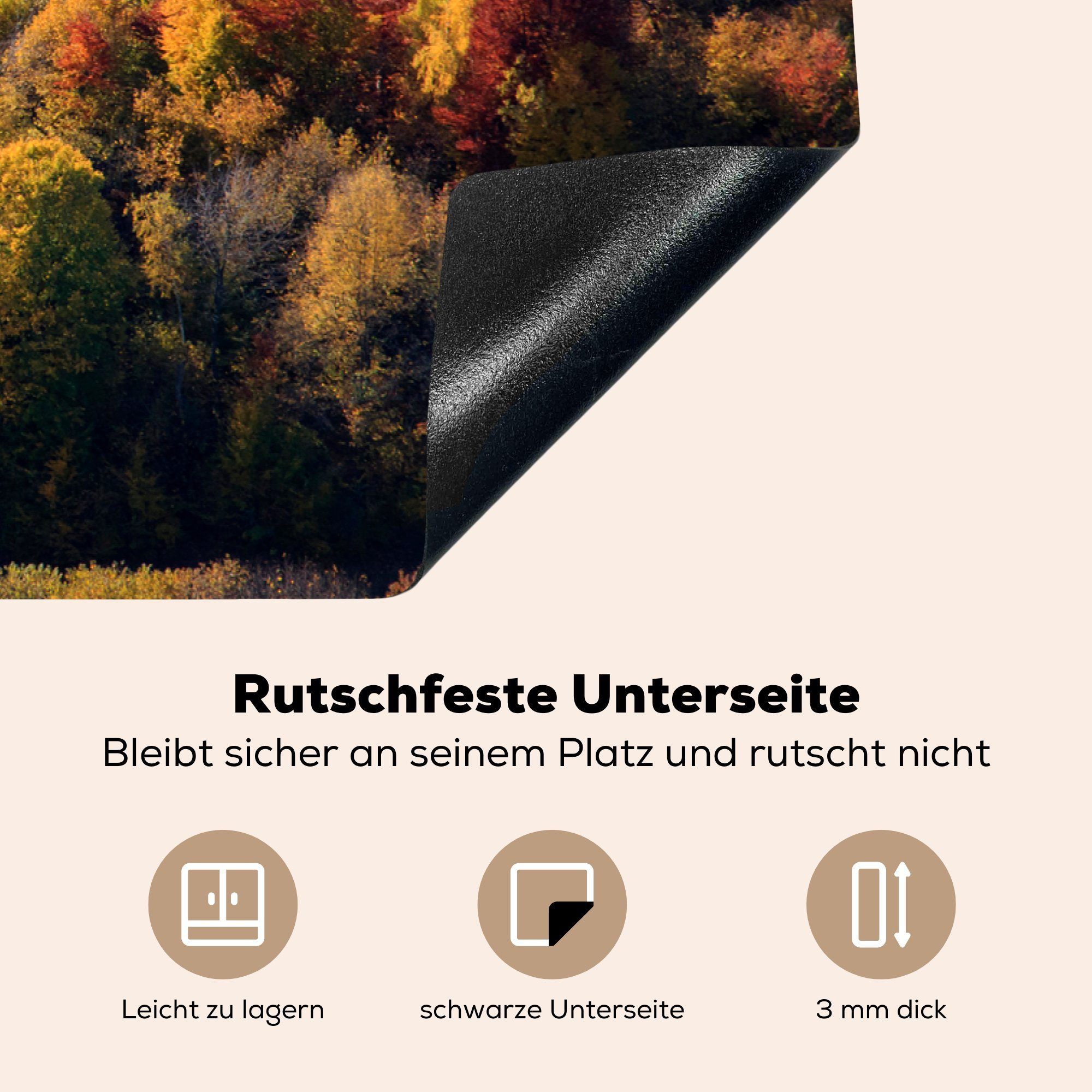 Piatra Nationalpark cm, (1 81x52 Herbstlich für MuchoWow im Ceranfeldabdeckung Induktionskochfeld gefärbte die Herdblende-/Abdeckplatte Rumänien, küche, tlg), Bäume Craiului Schutz Vinyl, in