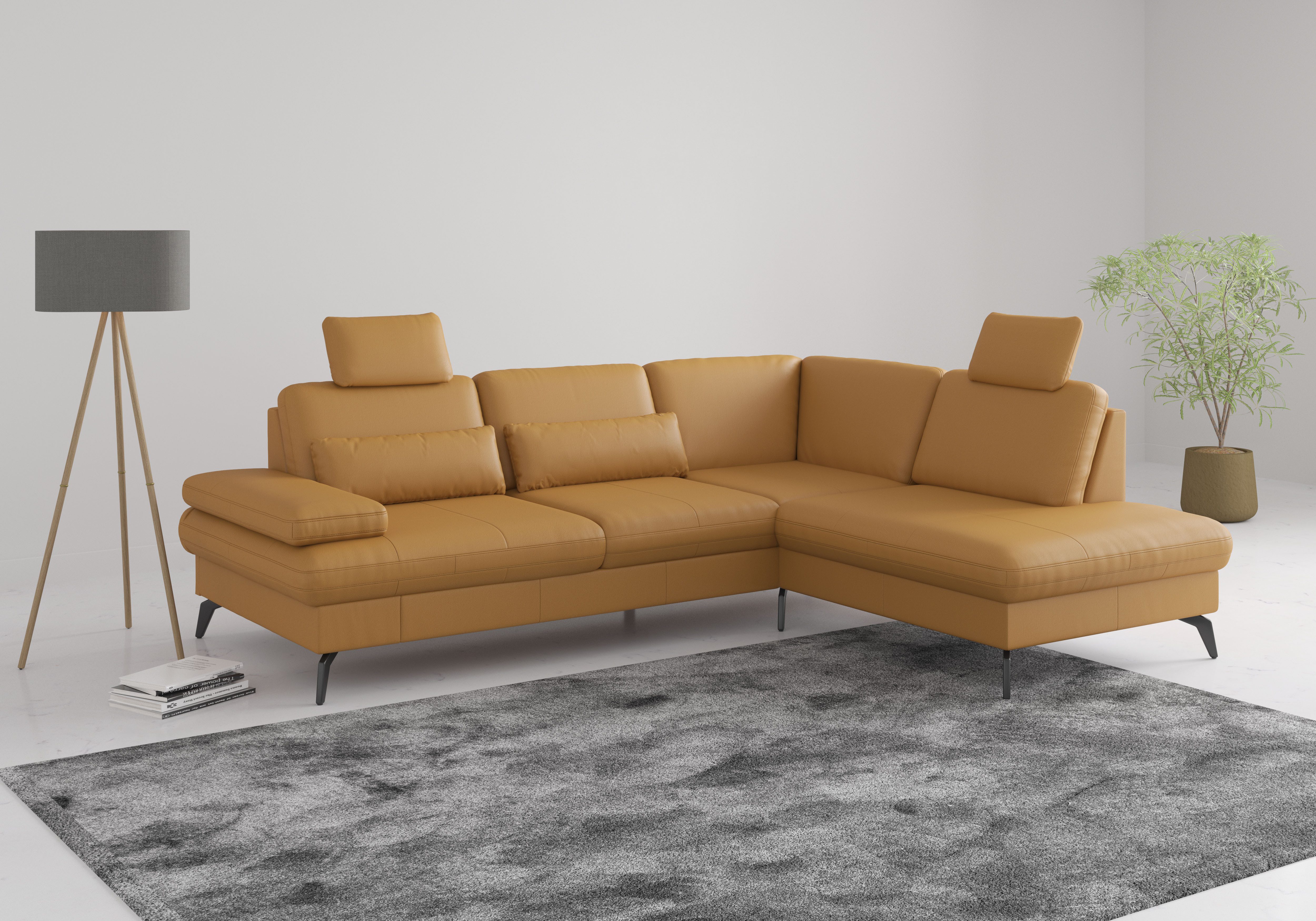 sit&more Ecksofa Morris L-Form, inkl. Sitztiefenverstellung, günstig online kaufen