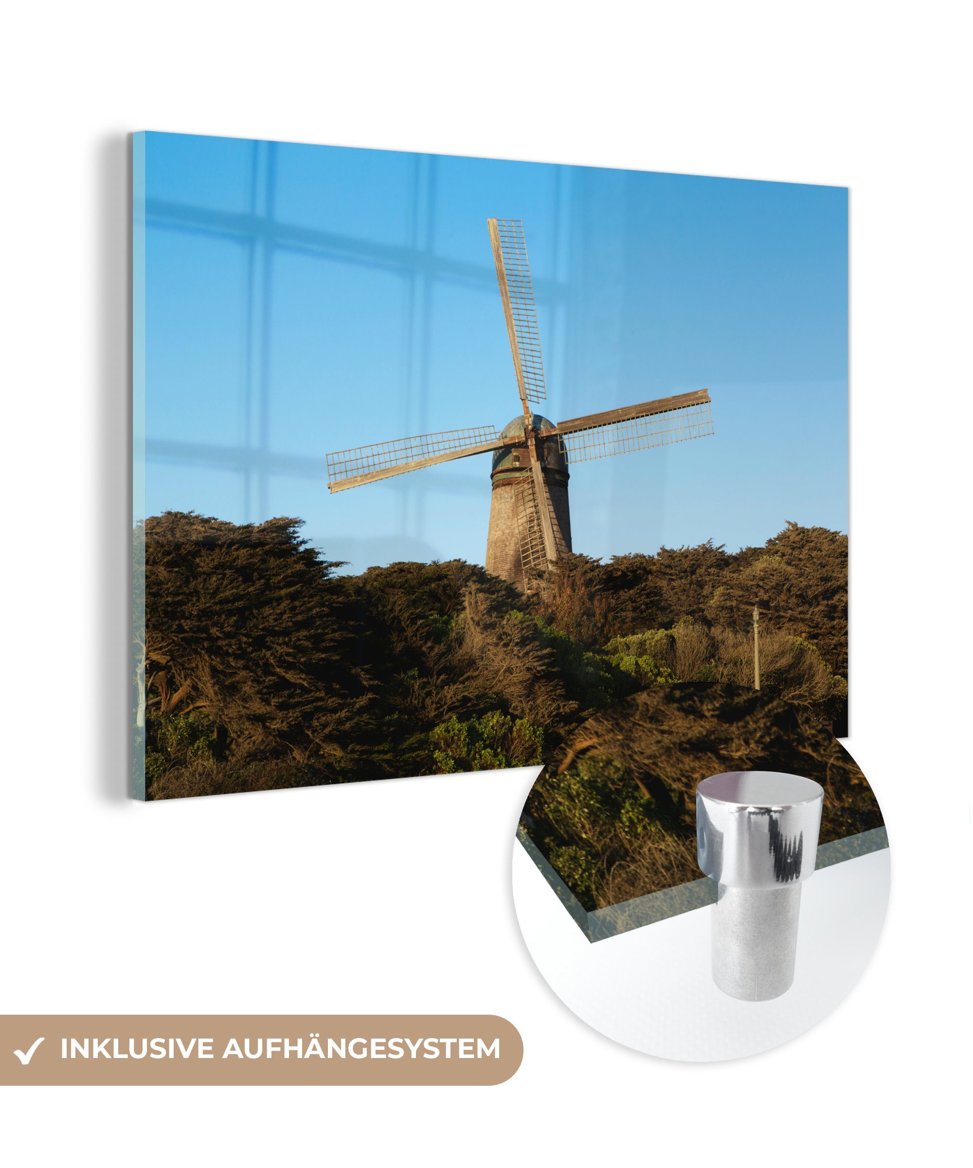 MuchoWow Acrylglasbild San Francisco - Bäume - Windmühle, (1 St), Acrylglasbilder Wohnzimmer & Schlafzimmer