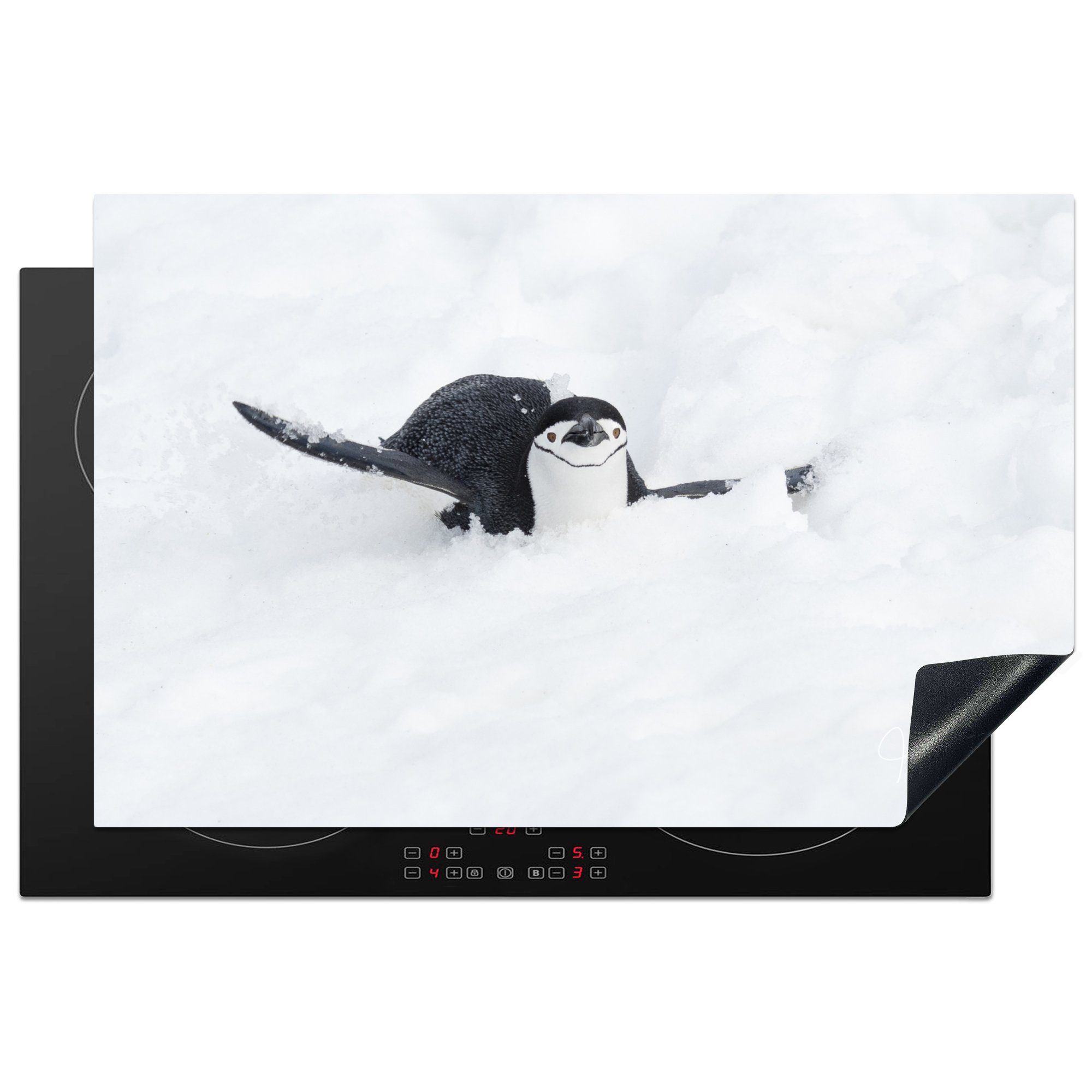 MuchoWow Herdblende-/Abdeckplatte Ein Pinguin rutscht auf seinem Bauch durch den Schnee, Vinyl, (1 tlg), 81x52 cm, Induktionskochfeld Schutz für die küche, Ceranfeldabdeckung | Herdabdeckplatten