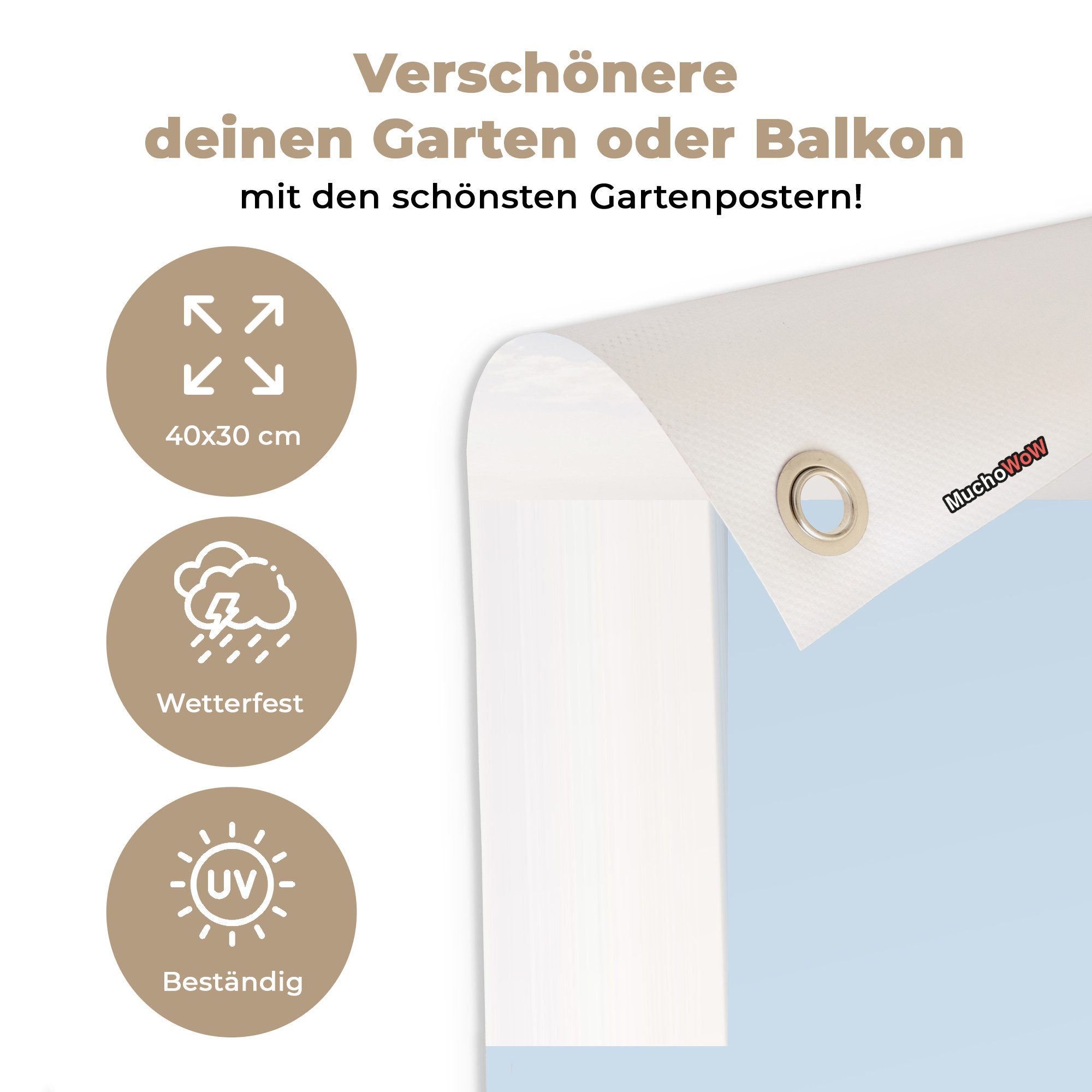 OnlyWow Poster für Garten Düne - Möwe - Strand - Meer - Sonne, Gartenposter, Outdoor Bilder, Gartendekoration Bild, 40x30 cm
