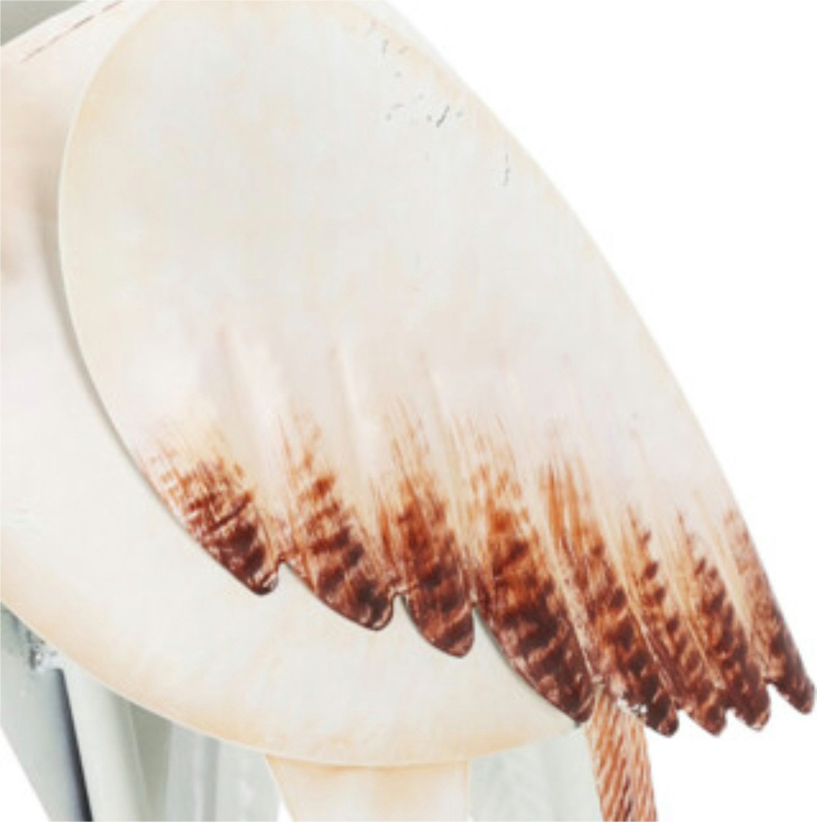 Koopman Tierfigur Gartenfigur 87 cm Blech Storch weiß (Stück, 1 St., Packung), Storch, Blechfigur, Gartenfigur, Figur, 87cm hoch