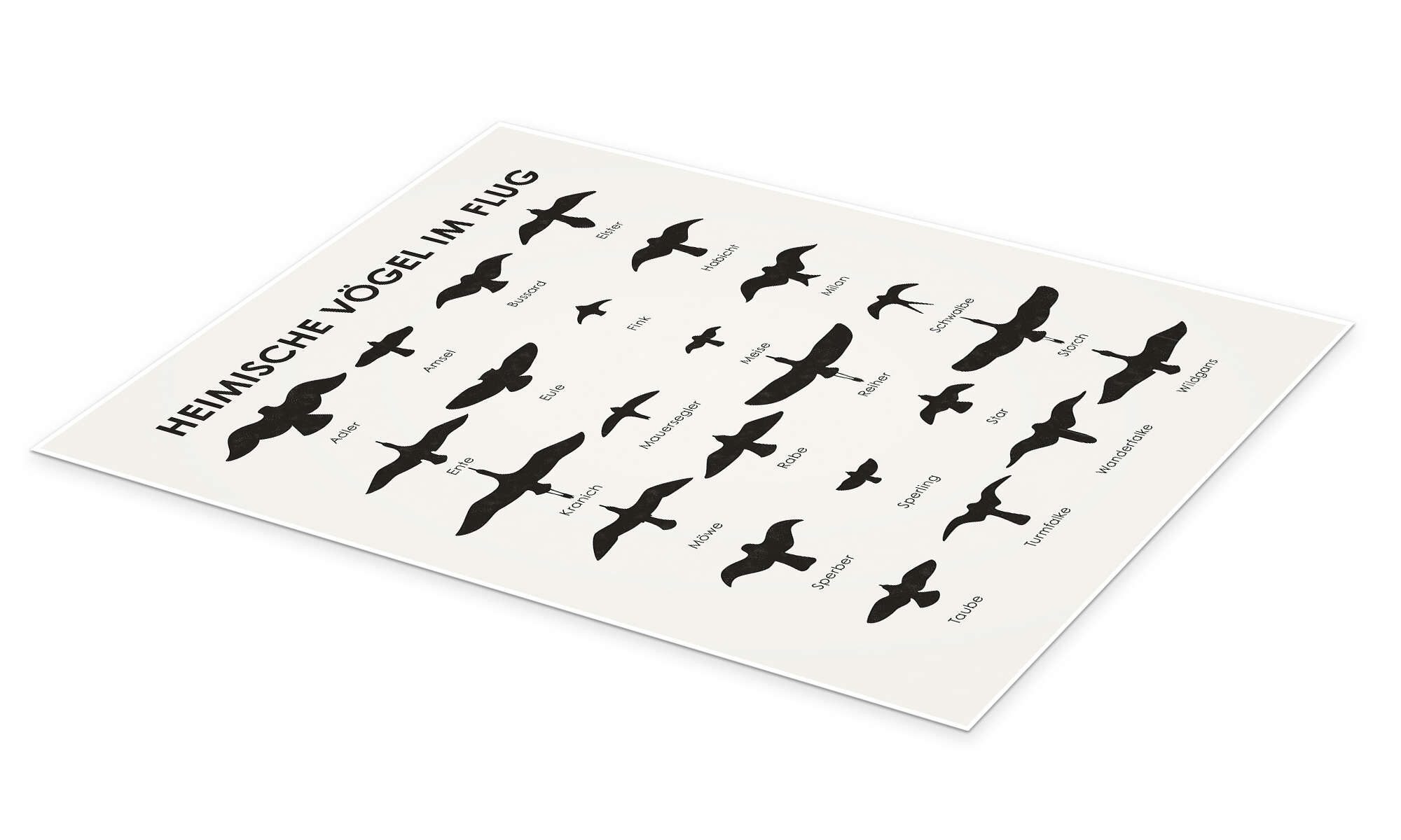 Posterlounge Wandbild Heimische Vögel im Flug, Iris Luckhaus, erhältlich al günstig online kaufen