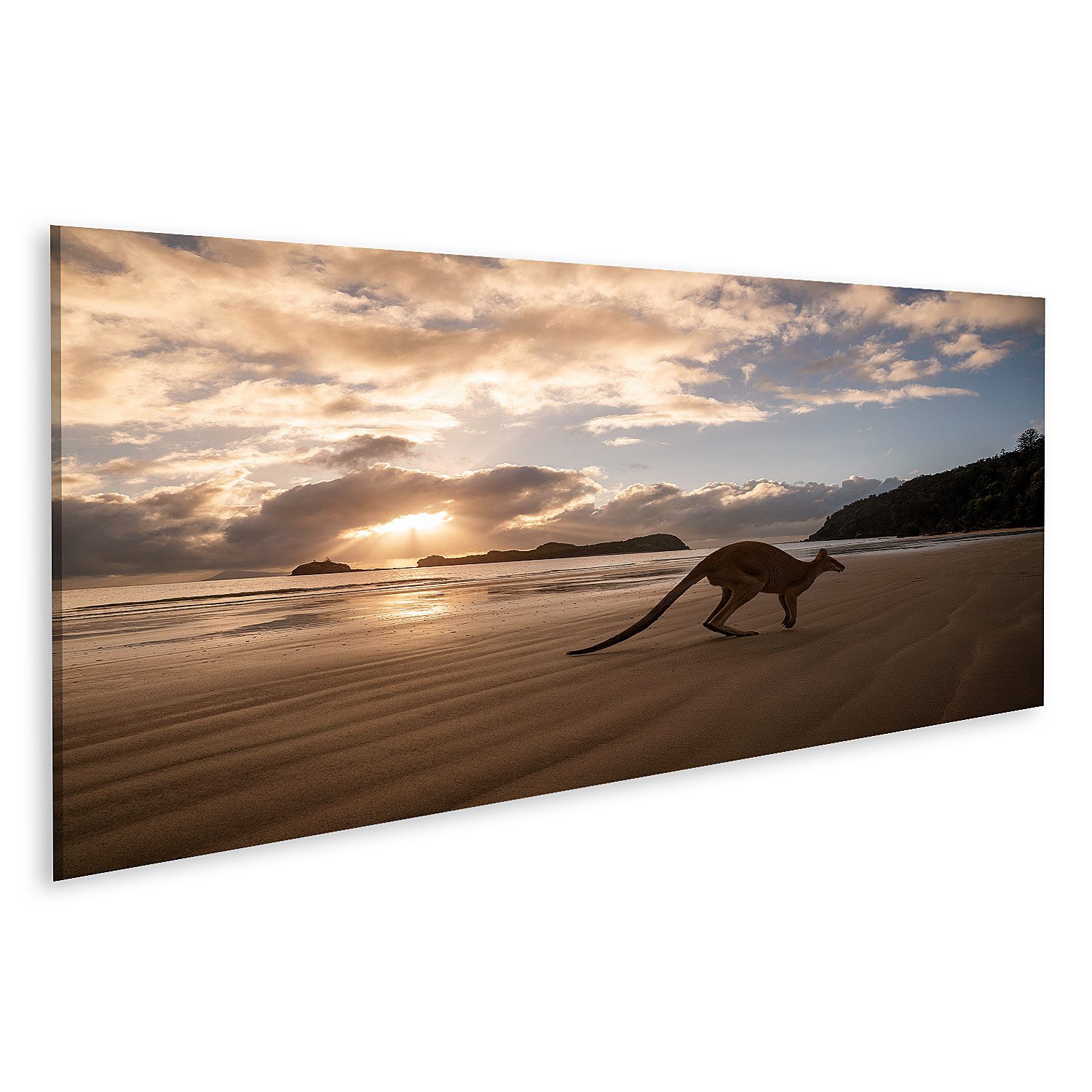 Leinwandbild Känguru Strand Sonnenaufgang Bilder