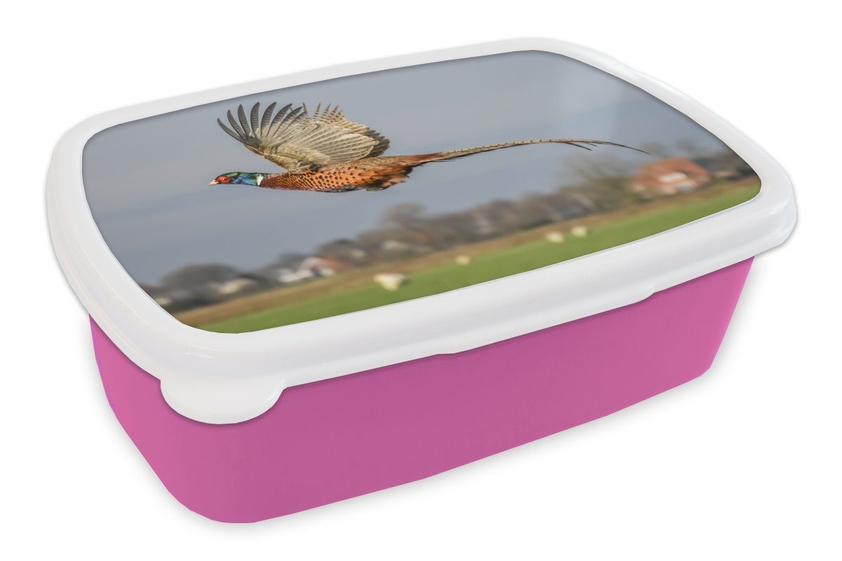 (2-tlg), Kunststoff Lunchbox Brotdose - für - Fasan Federn rosa Flügel, Snackbox, Brotbox Mädchen, MuchoWow Erwachsene, Kunststoff, Kinder,
