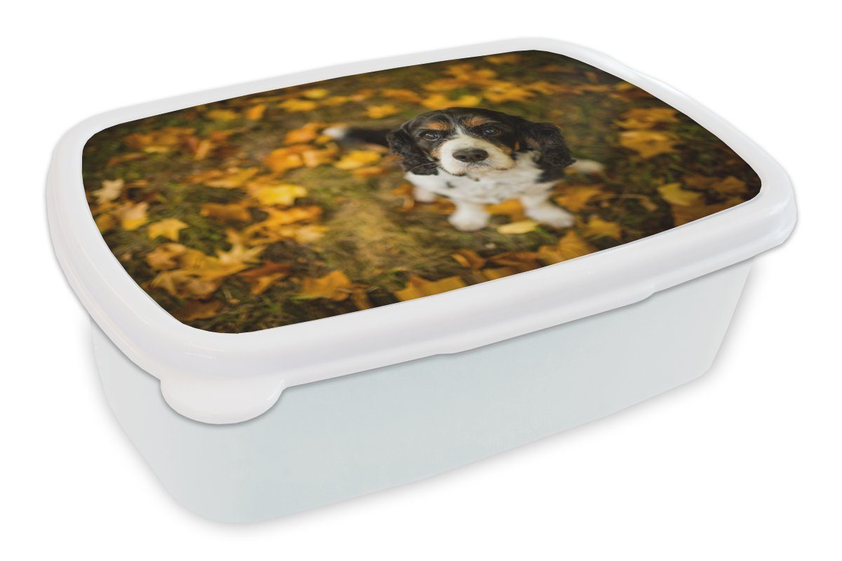 MuchoWow Lunchbox Cavalier King Charles Spaniel zwischen gelben und orangefarbenen, Kunststoff, (2-tlg), Brotbox für Kinder und Erwachsene, Brotdose, für Jungs und Mädchen weiß