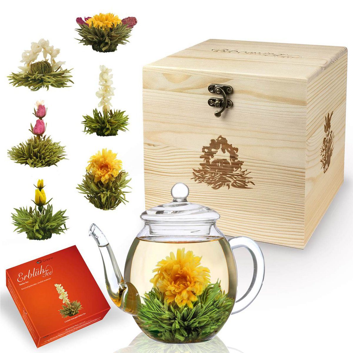 Creano Teebox Creano Geschenkset Tee 500ml Teekanne in edler Holzbox 6 Erblühtee