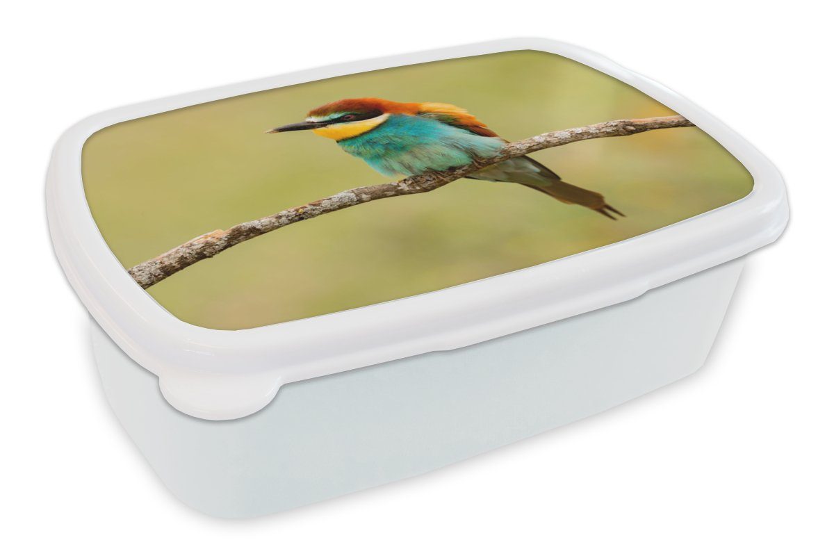 für Kinder Kunststoff, Brotbox Jungs und für und - Erwachsene, Vogel Lunchbox - weiß Bienenfresser Tiere, (2-tlg), MuchoWow Mädchen Brotdose,