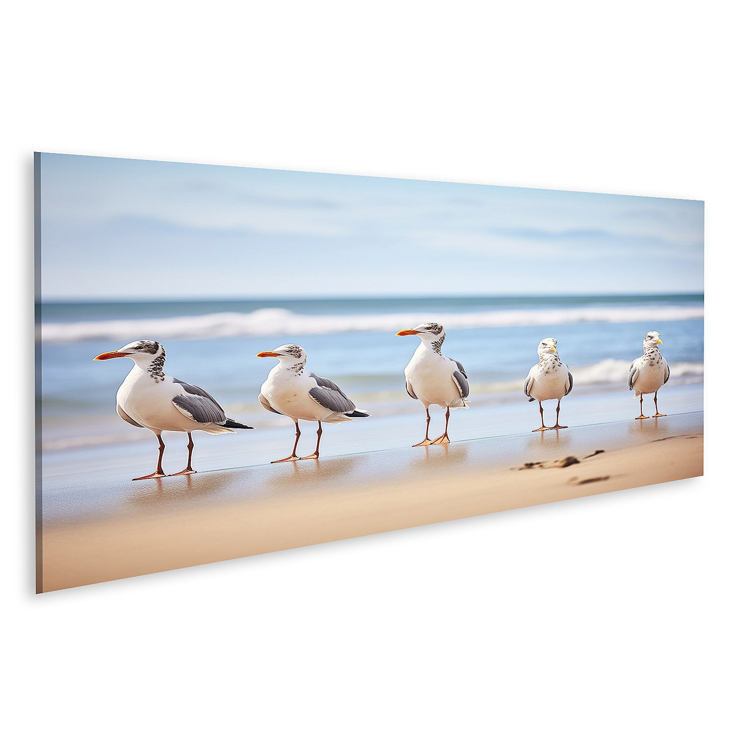 islandburner Leinwandbild Reihe Stehender Möwen Mit Blick Auf Den Ozean Bri günstig online kaufen
