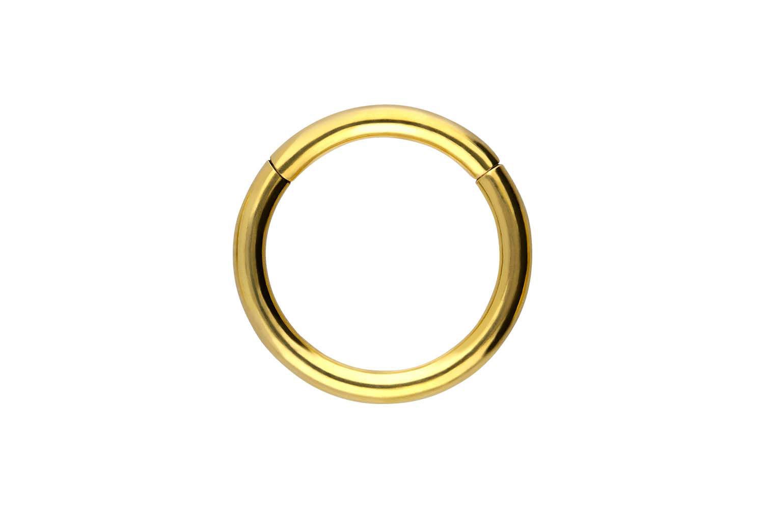 PIERCINGLINE Nasenpiercing Titan Segmentring Clicker Ohrpiercing Septum Nase (Clicker, 1-tlg), Ohrpiercing für Conch, Helix, Tragus, Daith, Lobe